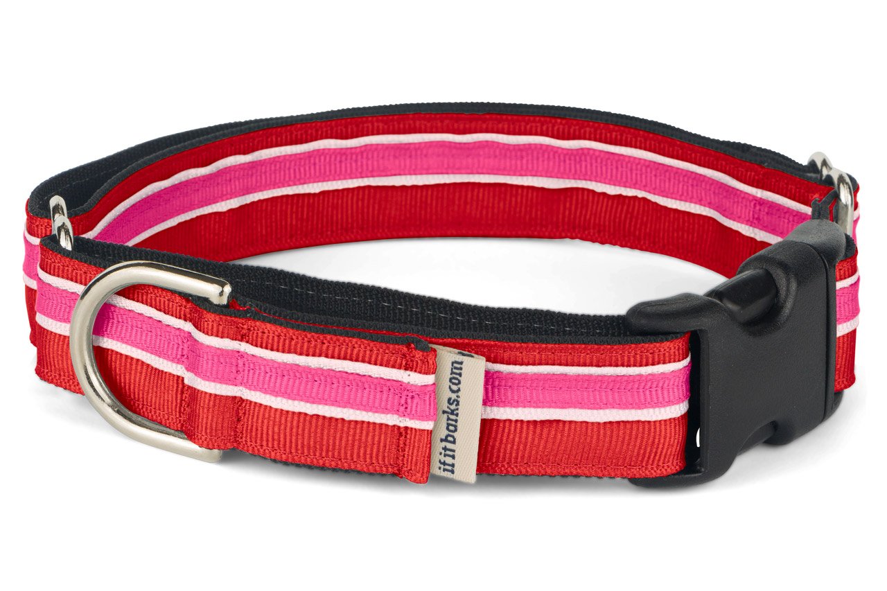 If It Barks 1 Martingale Collar With Quick Snap Release Buckle, Adjustable, Usa Made, Medium, Shortcake