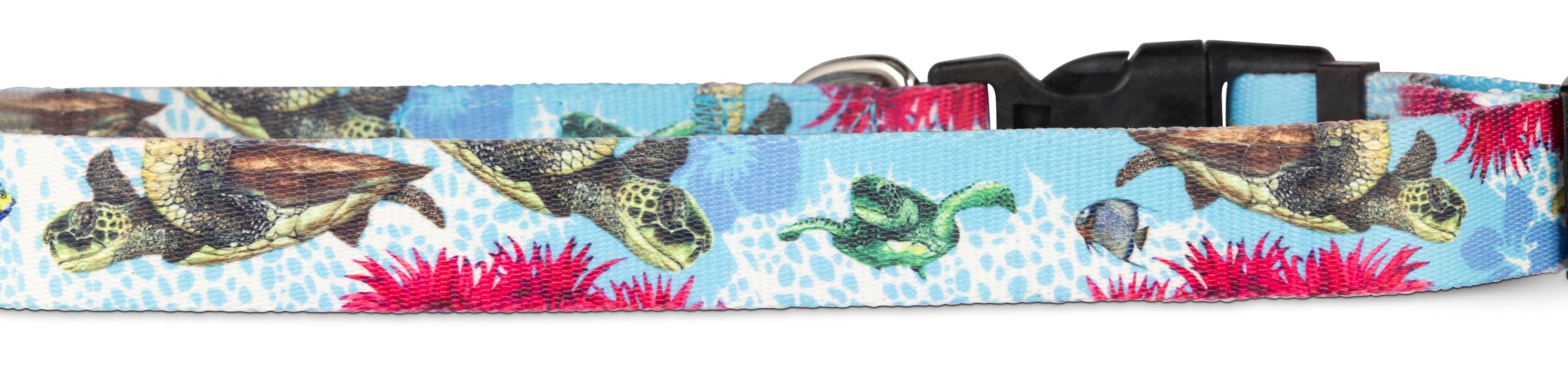 Salty Paws Tropical, Beach, Fishing, Blue, Pink Dog Collar (Medium Dog Collar Adj. 14-20 For Dogs 25-50 Lbs,