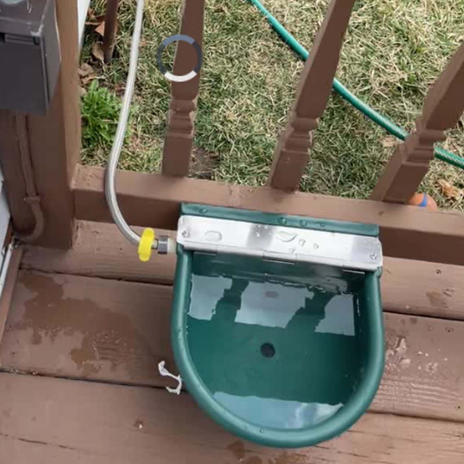 Automatic Water Bowl Plastic Livestock Waterer for Horse Cattle Goat Sheep Dog,Farm Grade Sheep Water Trough Bowl (with Drainage