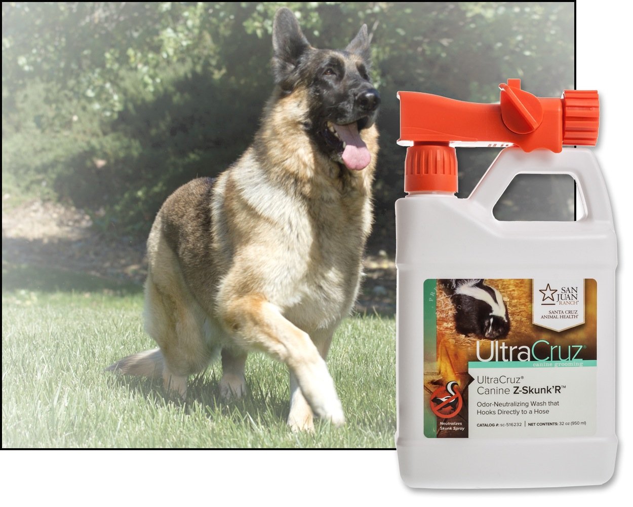Ultracruz Canine Z-Skunk'R Shampoo For Dogs, 32 Oz With Travel Applicator