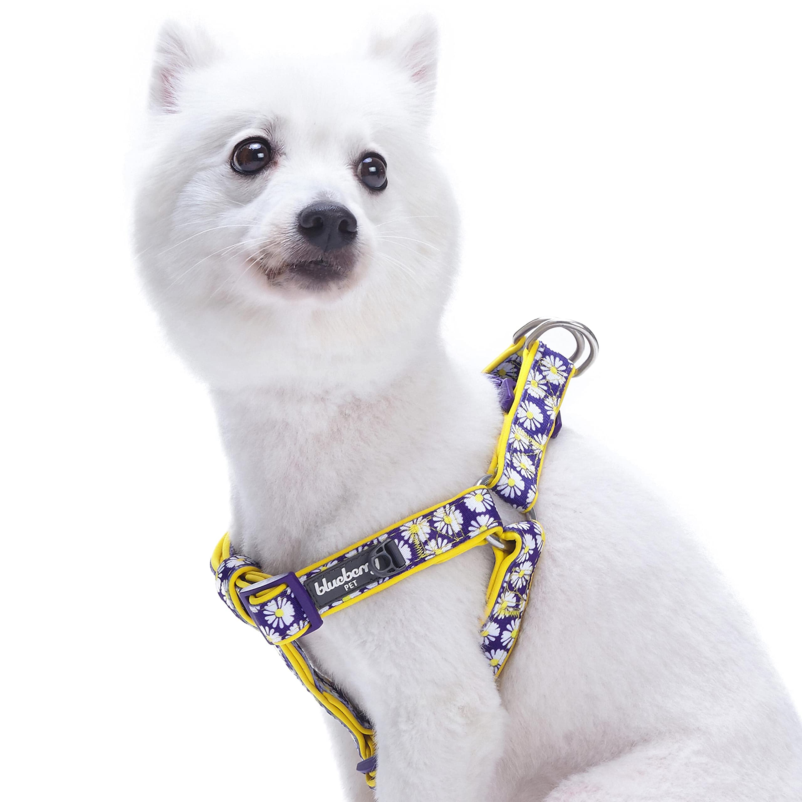 Blueberry Pet 2 Patterns Soft & Comfy Step-In Loving Daisy Prints Padded Dog Harness, Chest Girth 16.5' - 21.5', Small, Adjustable Harnesses For Dogs