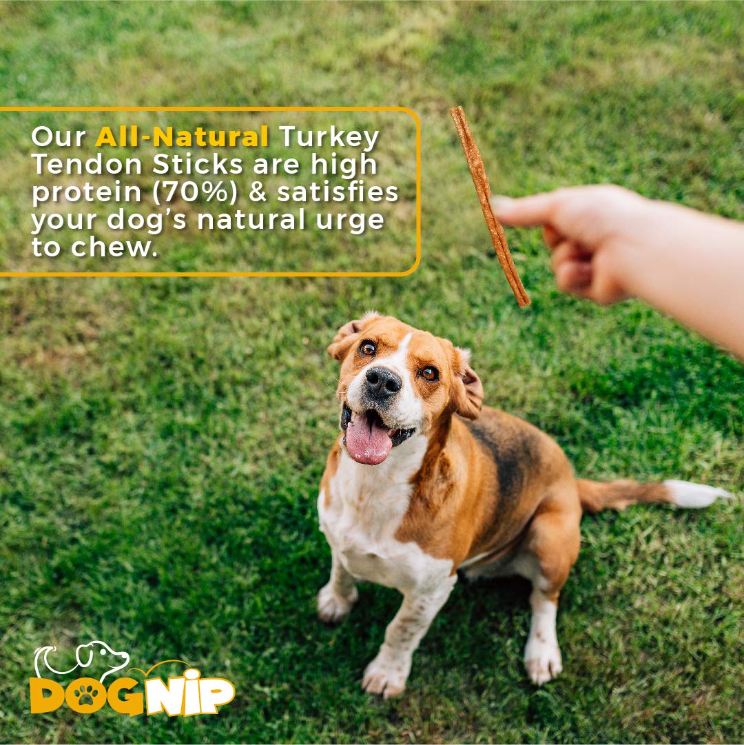 Gobble! 6-Inch Turkey Tendon Sticks for Dogs, Made in USA, 6 oz. (170g) Reseal Value Bags, All-Natural Hypoallergenic Dog Chew T