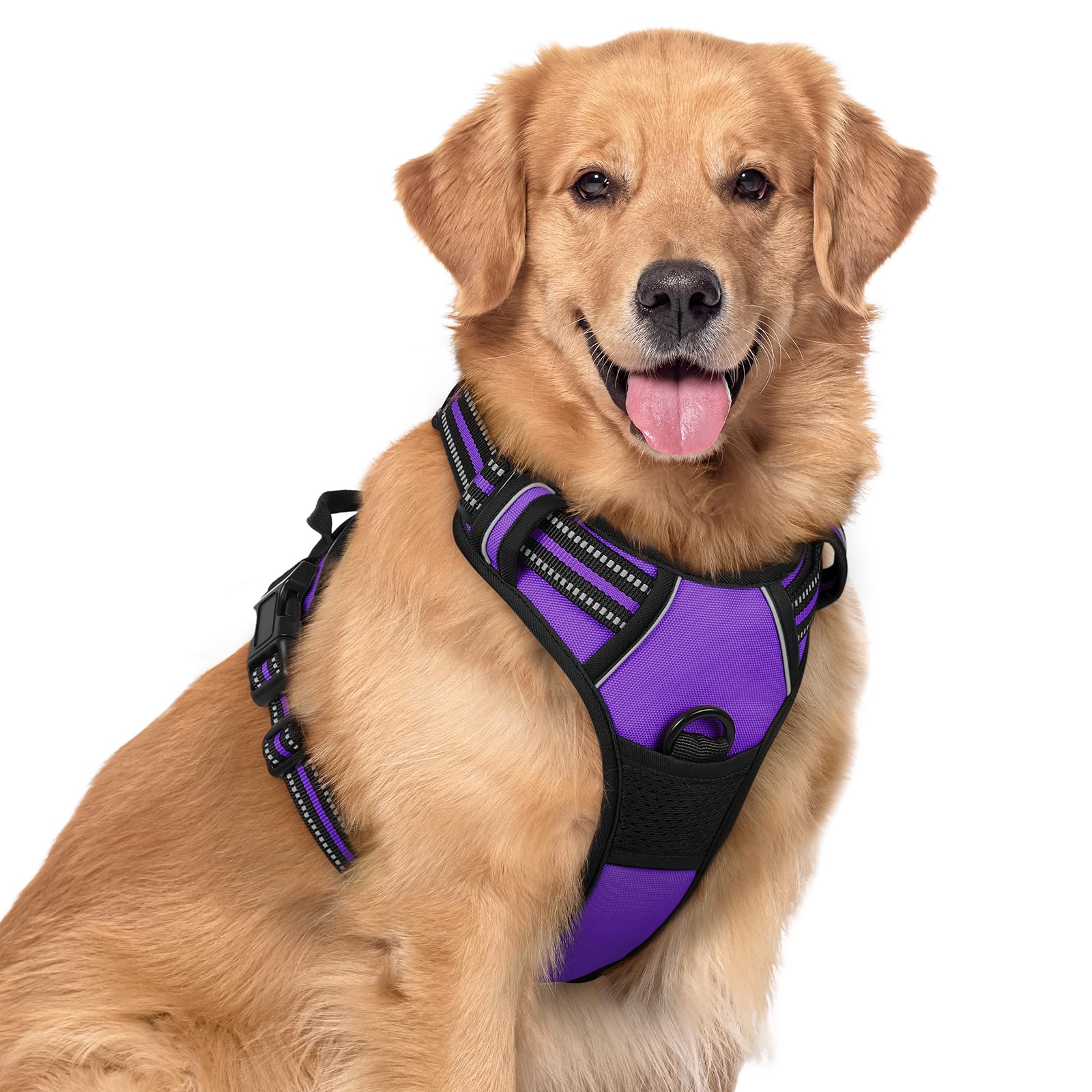 Rabbitgoo Dog Harness, No-Pull Pet Harness With 2 Leash Clips, Adjustable Soft Padded Dog Vest, Reflective No-Choke Pet Oxford Vest With Easy Control Handle For Large Dogs, Purple, Xl
