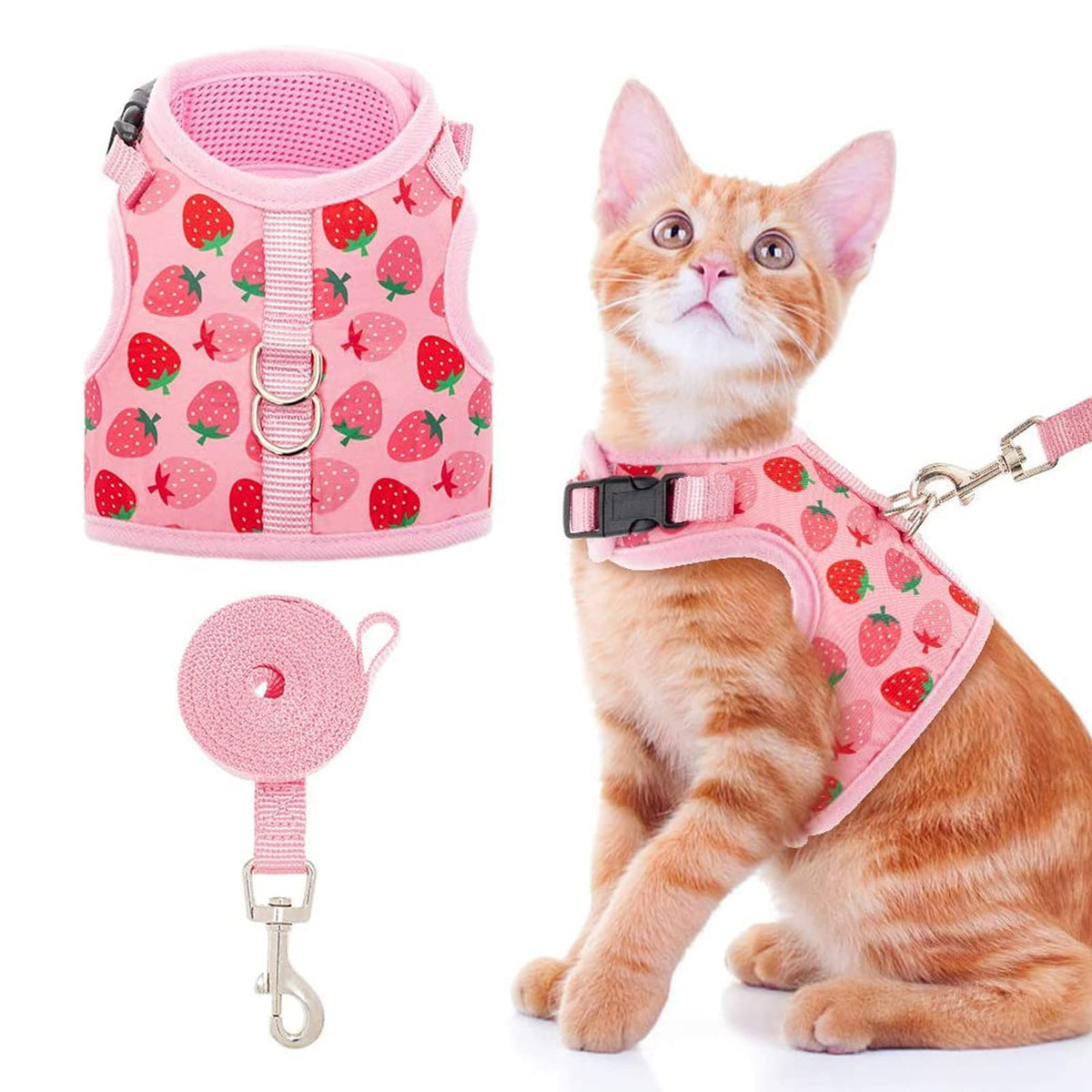 Bingpet Cat Harness With Leash Escape Proof - Fashionable Mesh Cat Dog Walking Harness Leads, Adjustable For Kitties Puppies Small Animals