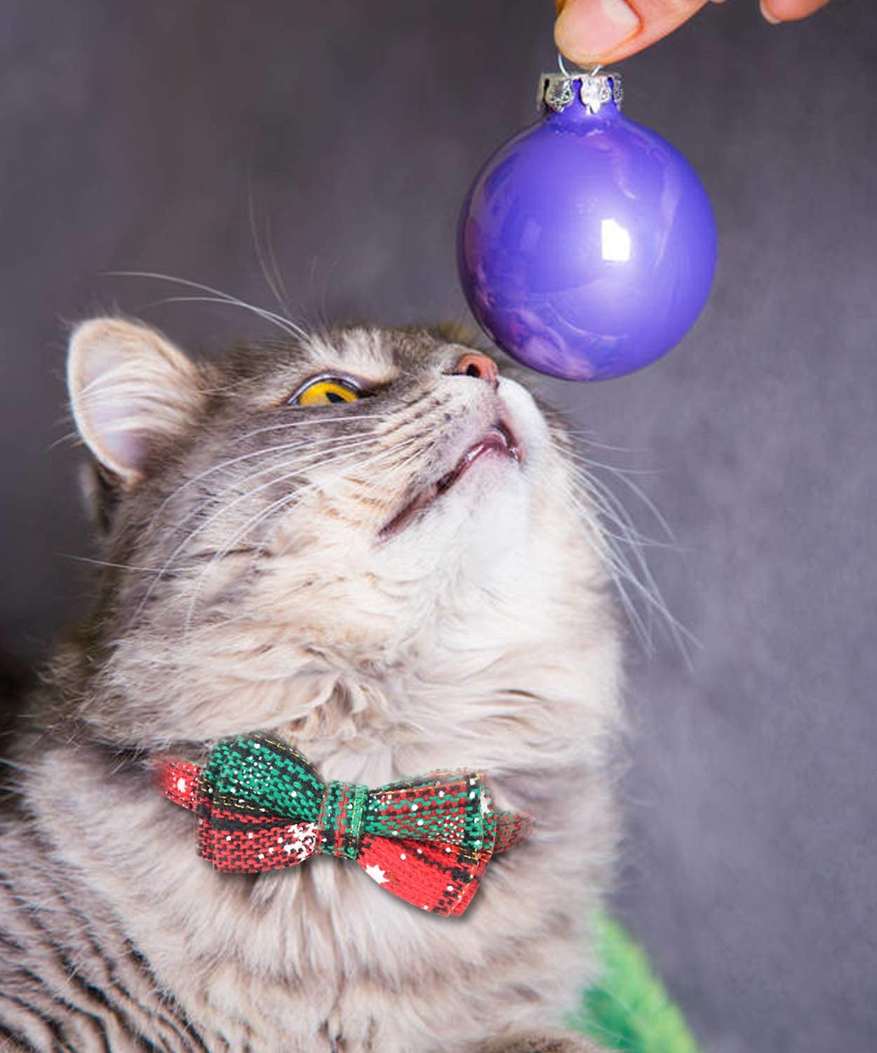 Joytale Upgraded Christmas Cat Collar With Bells, Breakaway Cat Collars With Bow Tie, 2 Pack Girl Boy Safety Plaid Kitten Collar