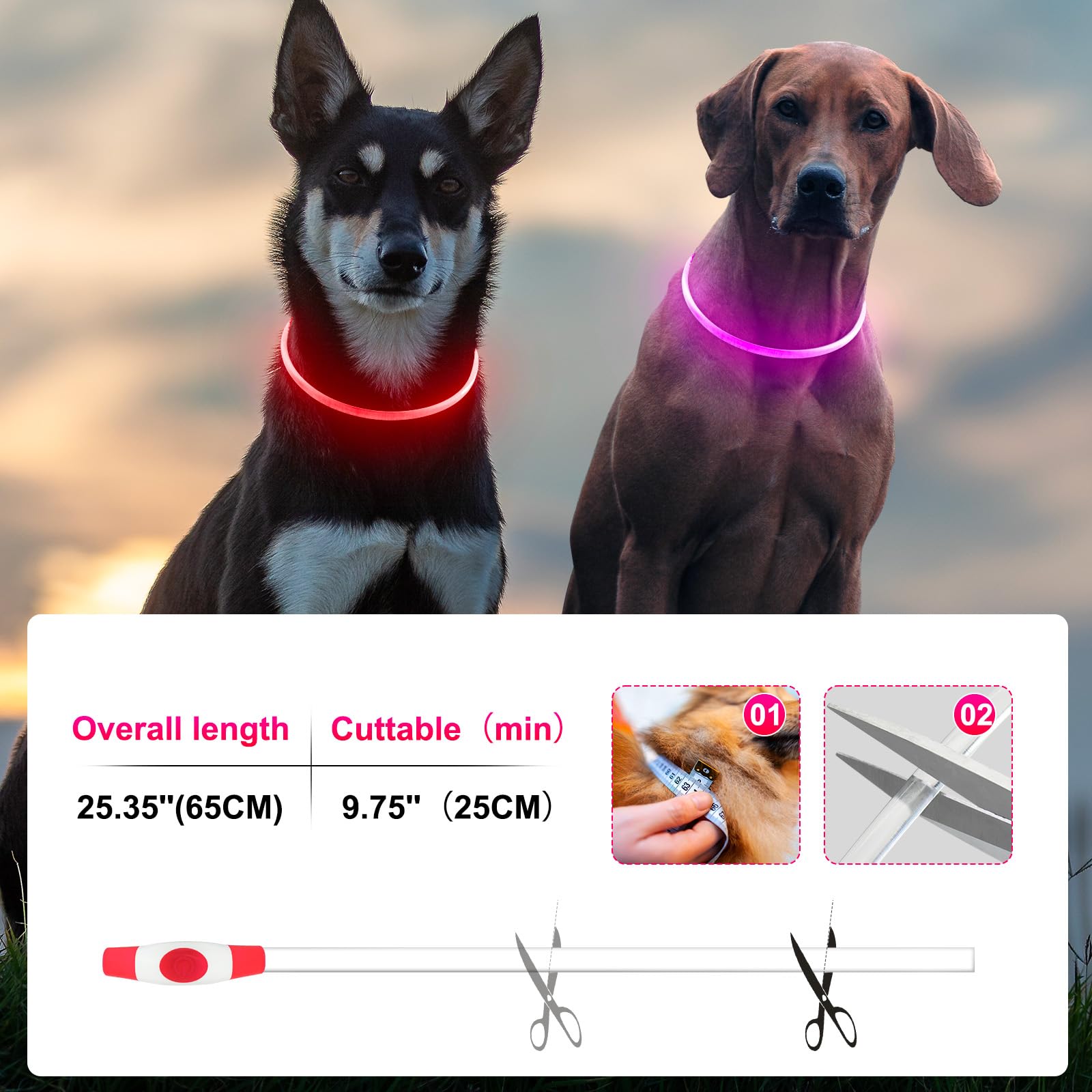 2 Packs Light Up Dog Collar, Led Dog Collar, Usb Rechargeable Dog Lights For Night Walking, Adjustable Glow In The Dark Collars