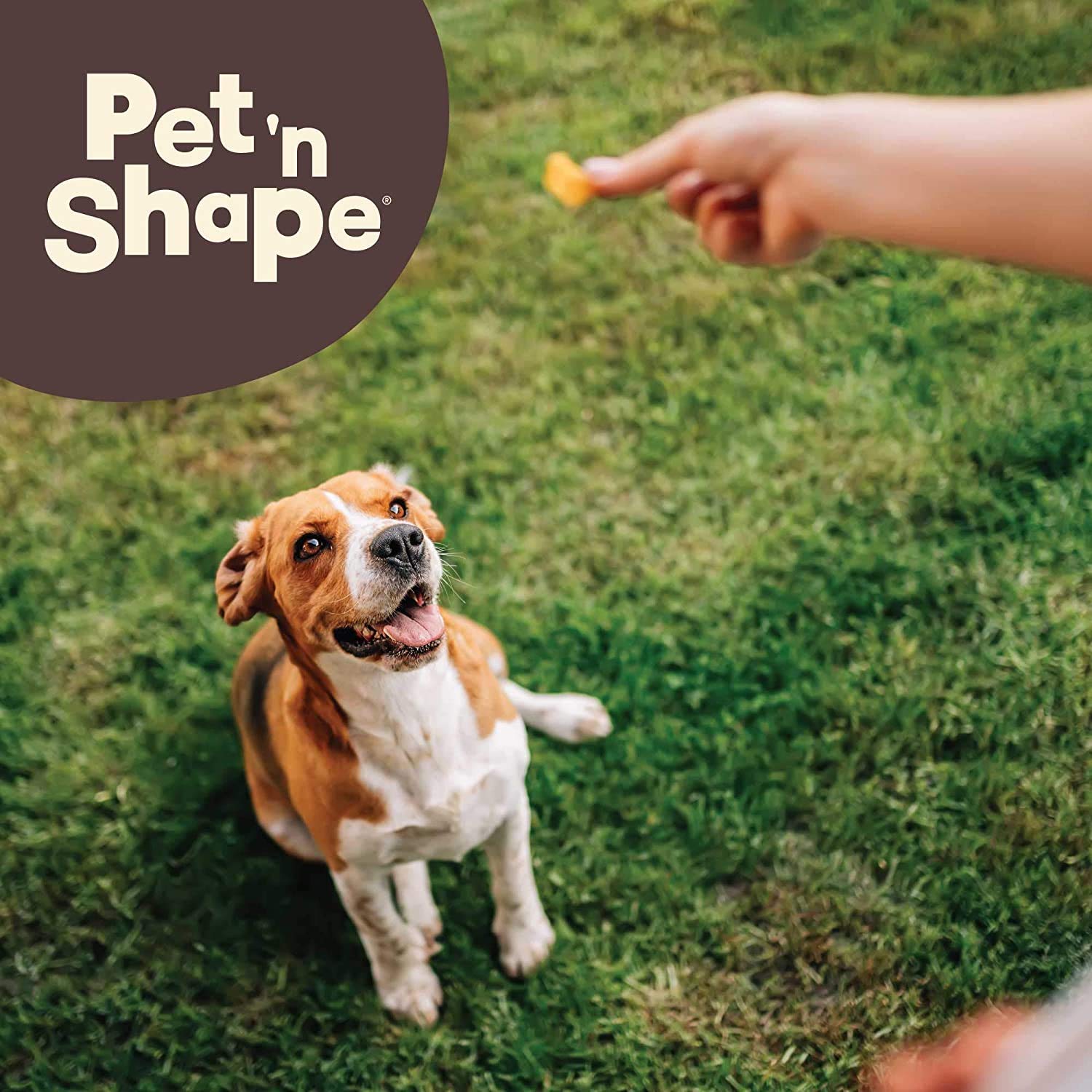 Pet n Shape Beef Lung Dog Treats - Made and Sourced in the USA - Training Treat - 9 Ounce