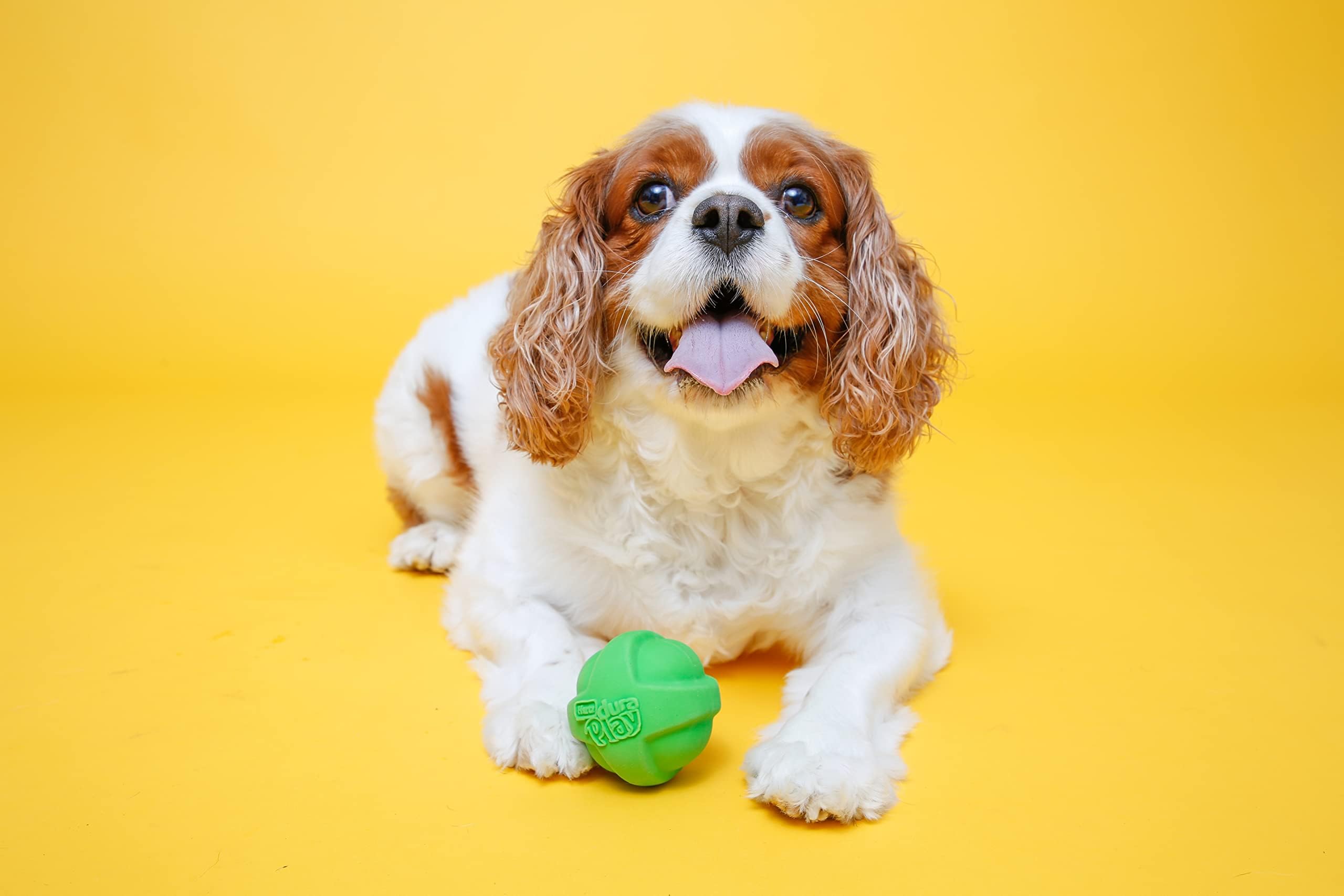 Hartz Duraplay Ball Squeaky Latex Dog Toy, Medium 3 Pack