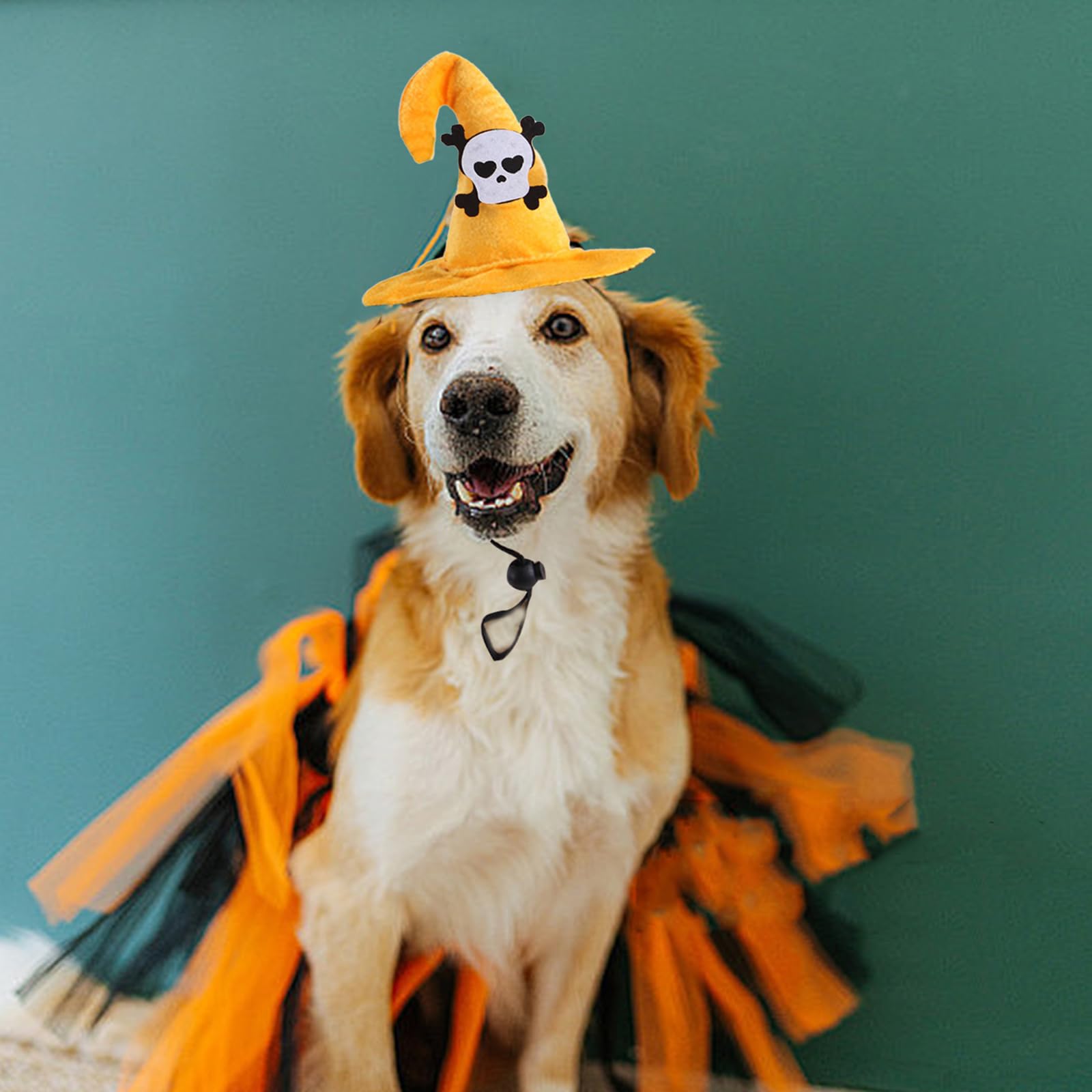 Bobo Rainbow 1Pc Dog Halloween Day Costume - Dog Cat Halloween Hat Pet Adjustable Headpiece Hat Pet Skull Costume Soft Pet Hat C