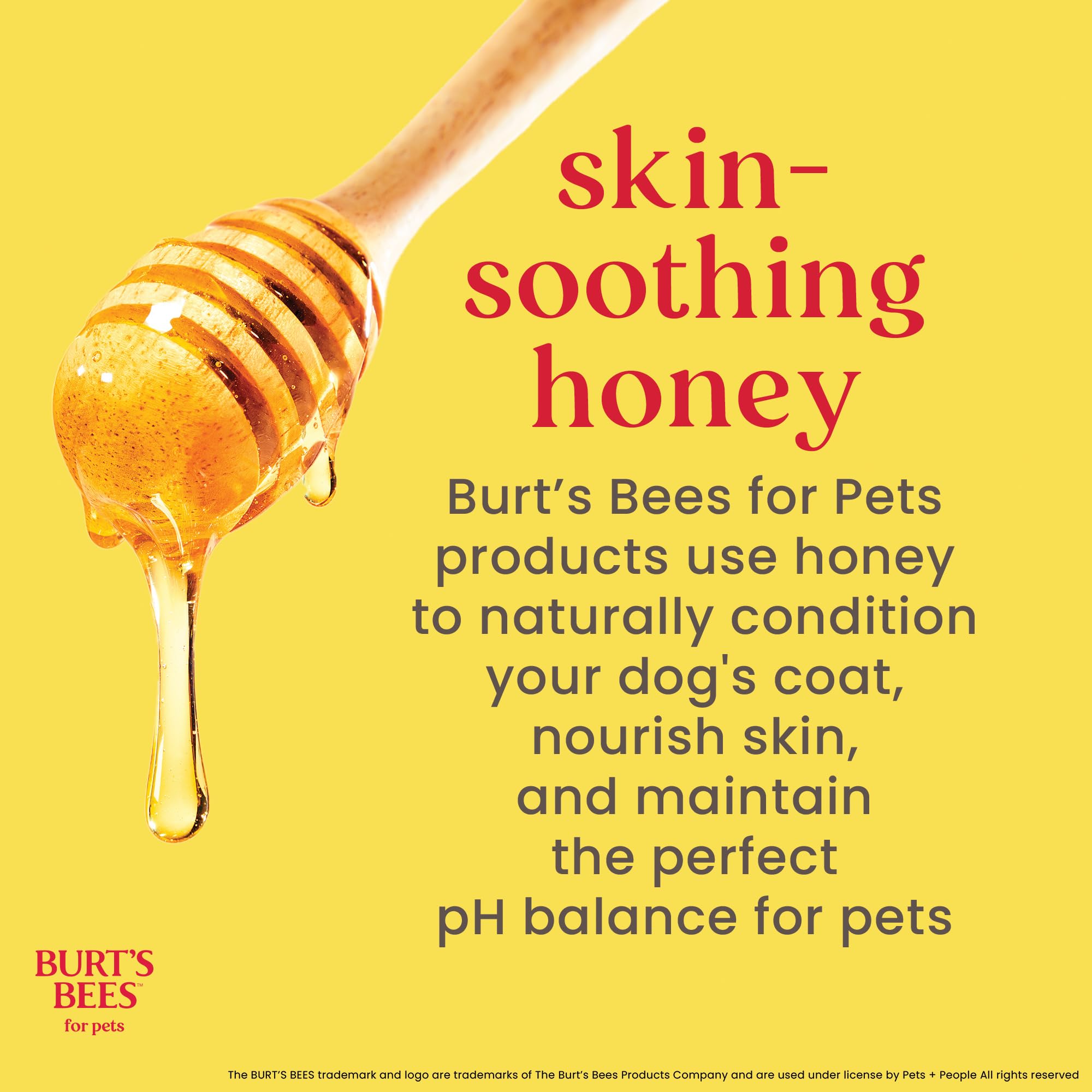 Burt'S Bees For Pets Deodorizing Dog Wipes With Witch Hazel, Lemongrass And Sage Fragrance, 98% Natural Origin Formulas, Dog Wip