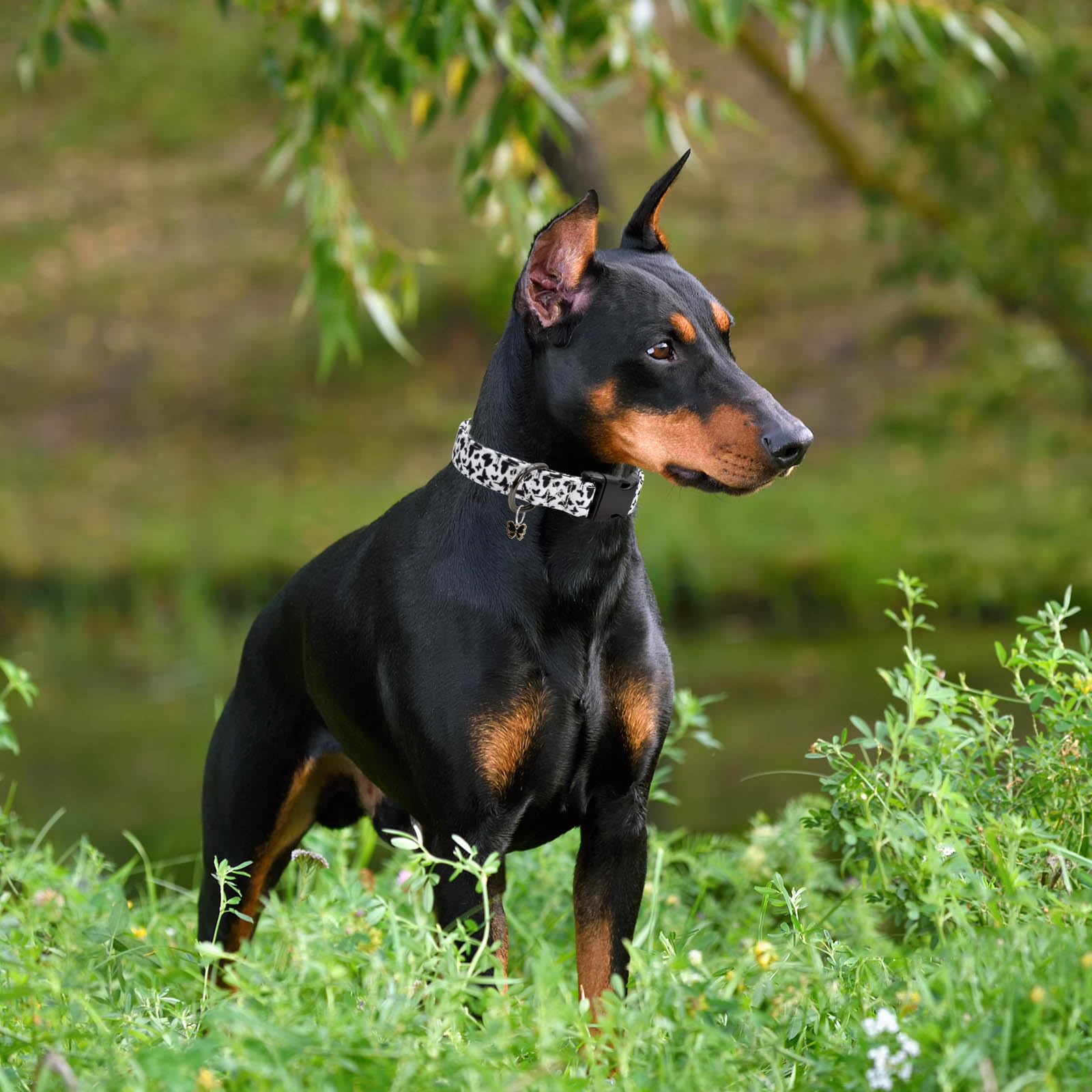 Flower Patterns Dog Collar With Accessories, Soft Cotton Dog Collars For Small Medium Large Female And Male Dogs(Butterfly L)