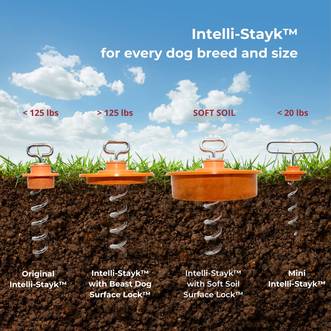 Intellileash Intelli-Stayk 4" Diameter Dog Leash with Surface-Lock Technology, Orange-Silver, Model 76071