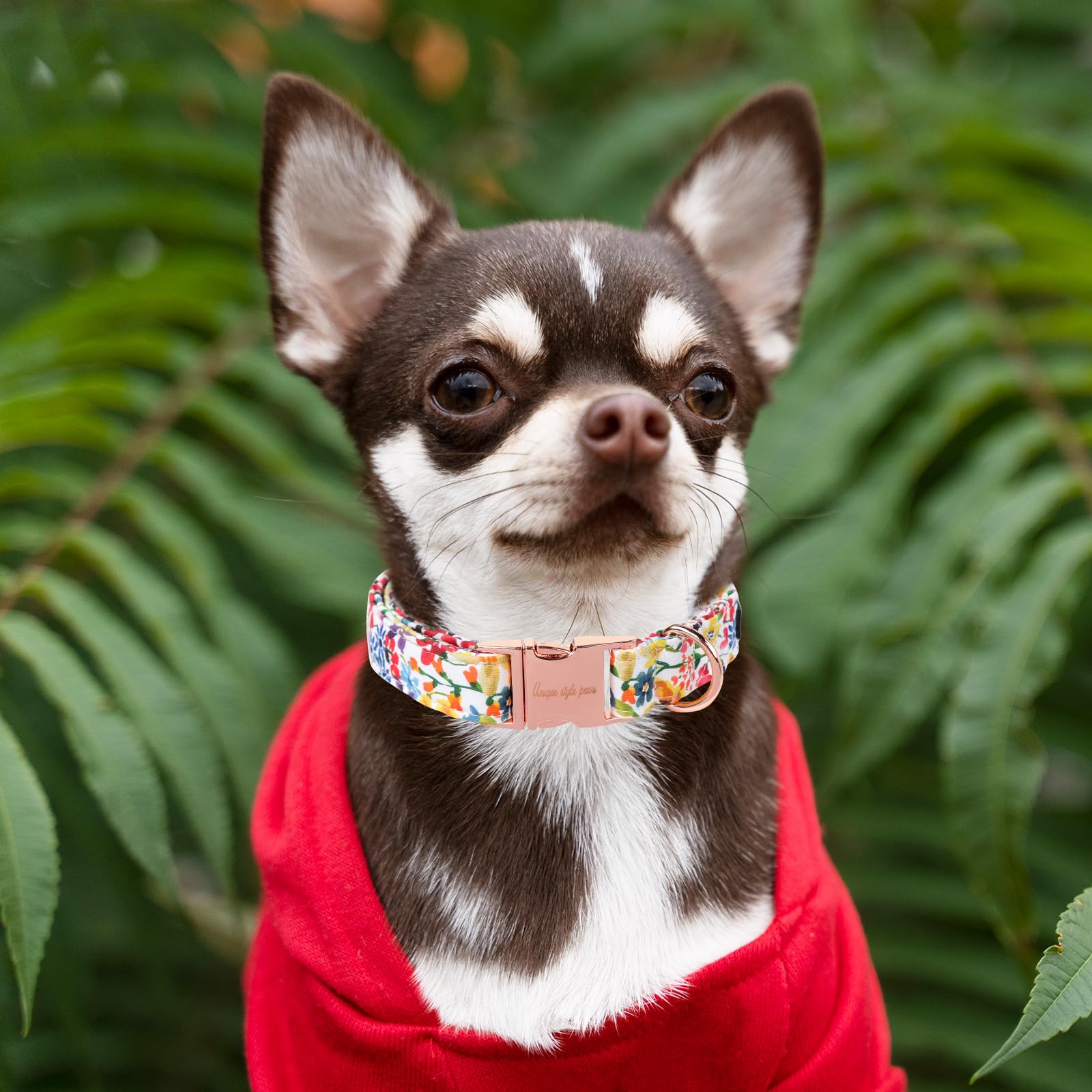 Unique Style Paws Dog Collar Metal Buckle Colorful Flower Collar Gift Durable Cute Collar For Small Medium Large Boys Girls Dogs