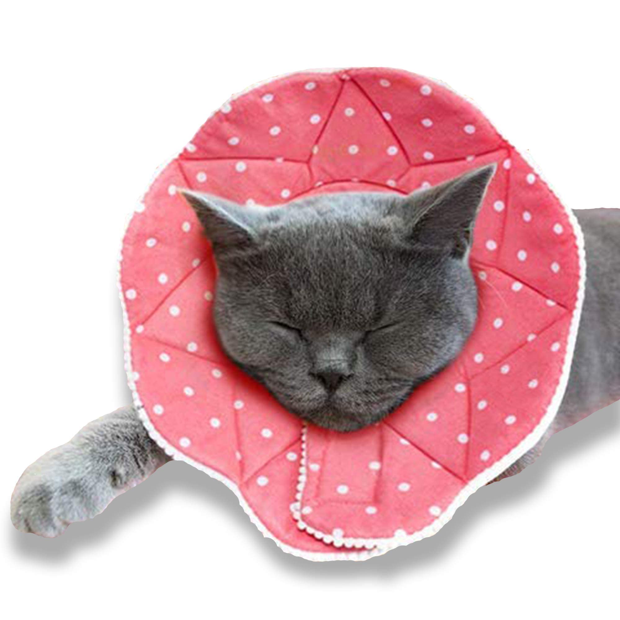 SunGrow Cat Cone Collar Soft, Pet Recovery Elizabethan E Collar Soft Neck Cone to Stop Licking for Cats & Kittens After Surgery,