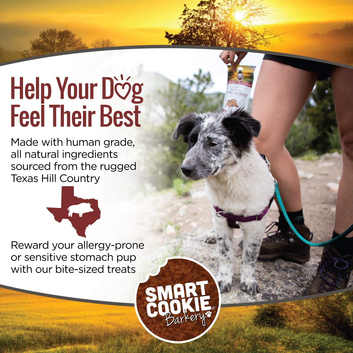 Smart Cookie All Natural Dog Treats - Wild Boar & Sweet Potato - Training Treats for Dogs with Allergies, Sensitive Stomachs - S