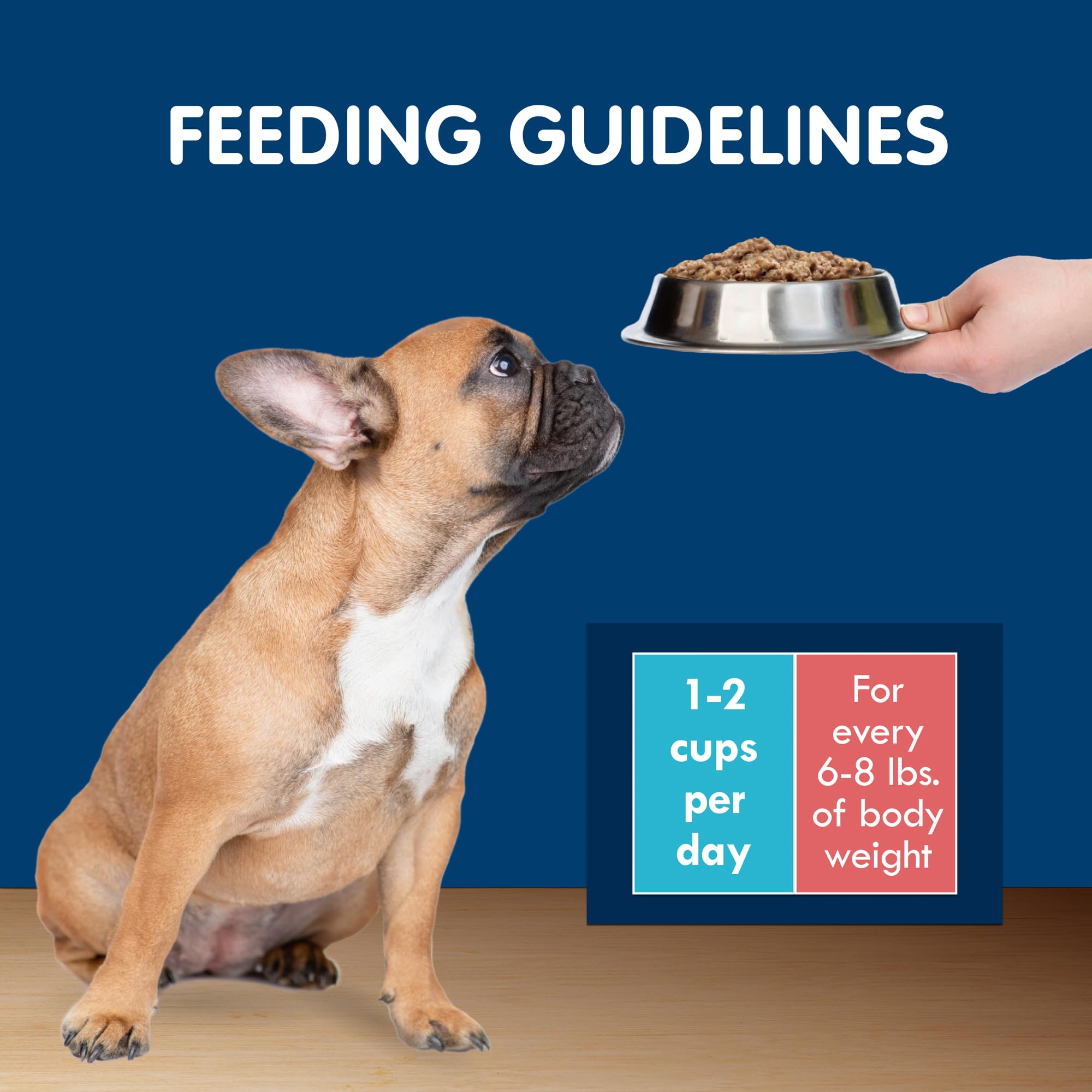 Blue Buffalo Delights Natural Adult Small Breed Wet Dog Food Cups, Pate Style, Chicken, Top Sirloin, and Filet Mignon 3.5-oz (24