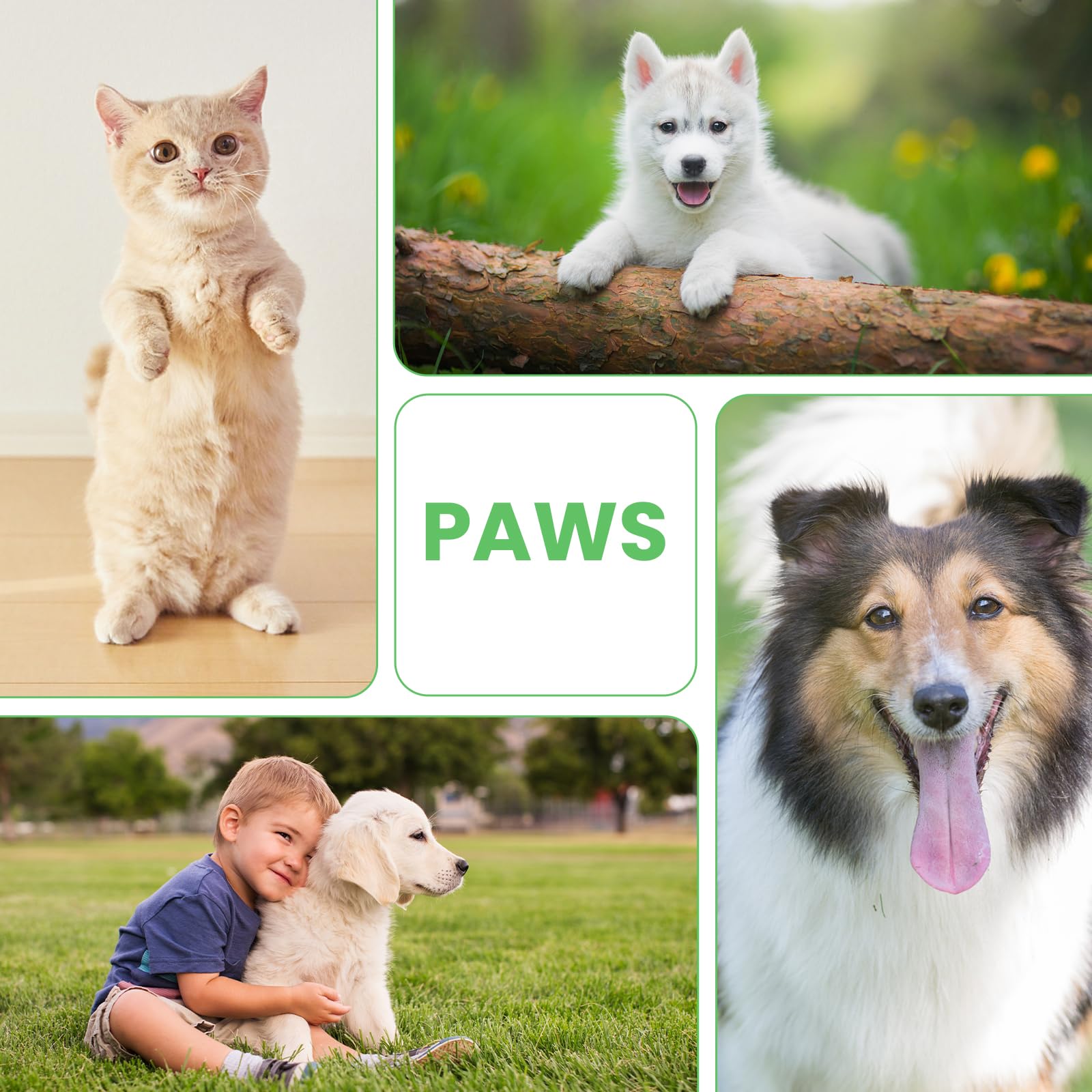 Tinioey Foaming Paw Cleaner For Dogs And Cats (6.8 Oz) | No-Rinse Dandelion Cleanser With Brush And Absorbent Towel (Fragrance Free)