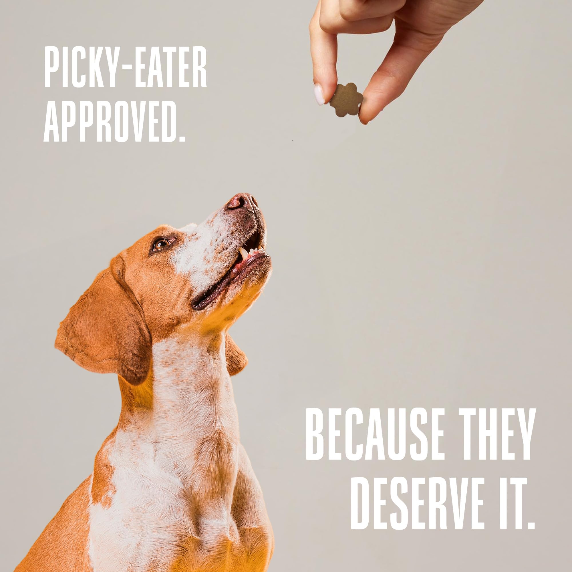 Whole Life Dog Living Treats for Dogs - Human Grade Probiotics for Digestive & Gut Health, Gas, Diarrhea, Vomit & Constipation R