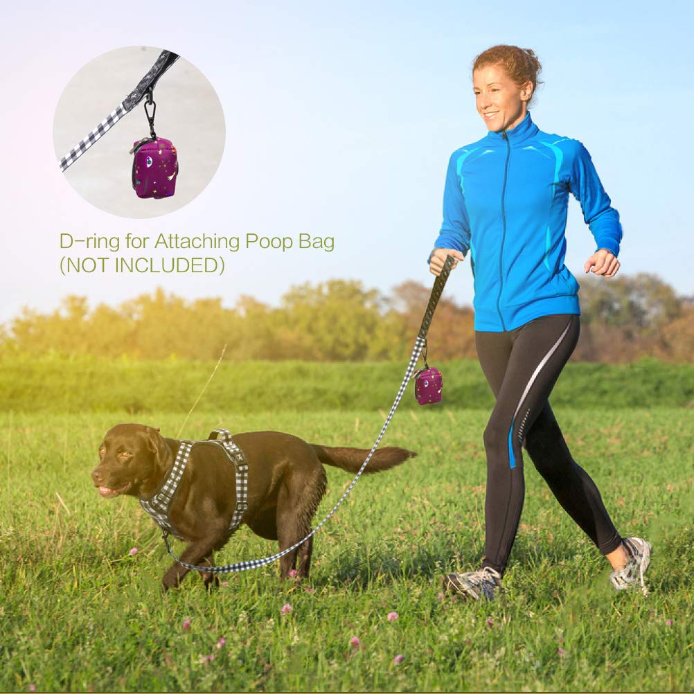 Poypet 5 Feet Dog Leash With Padded Handle For Small Medium And Large Dogs(Grid)