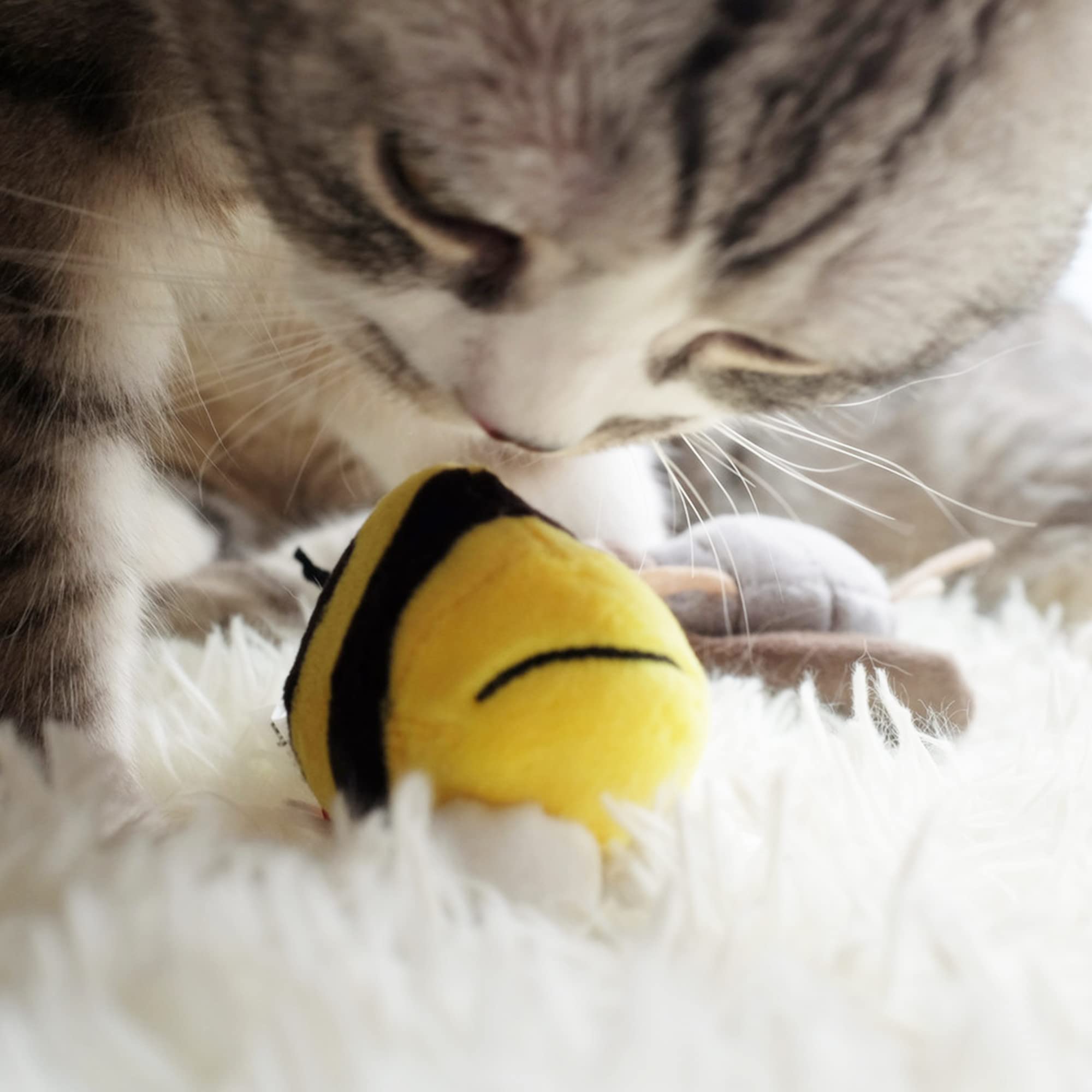 Gigwi Interactive Squeaking Cat Toy