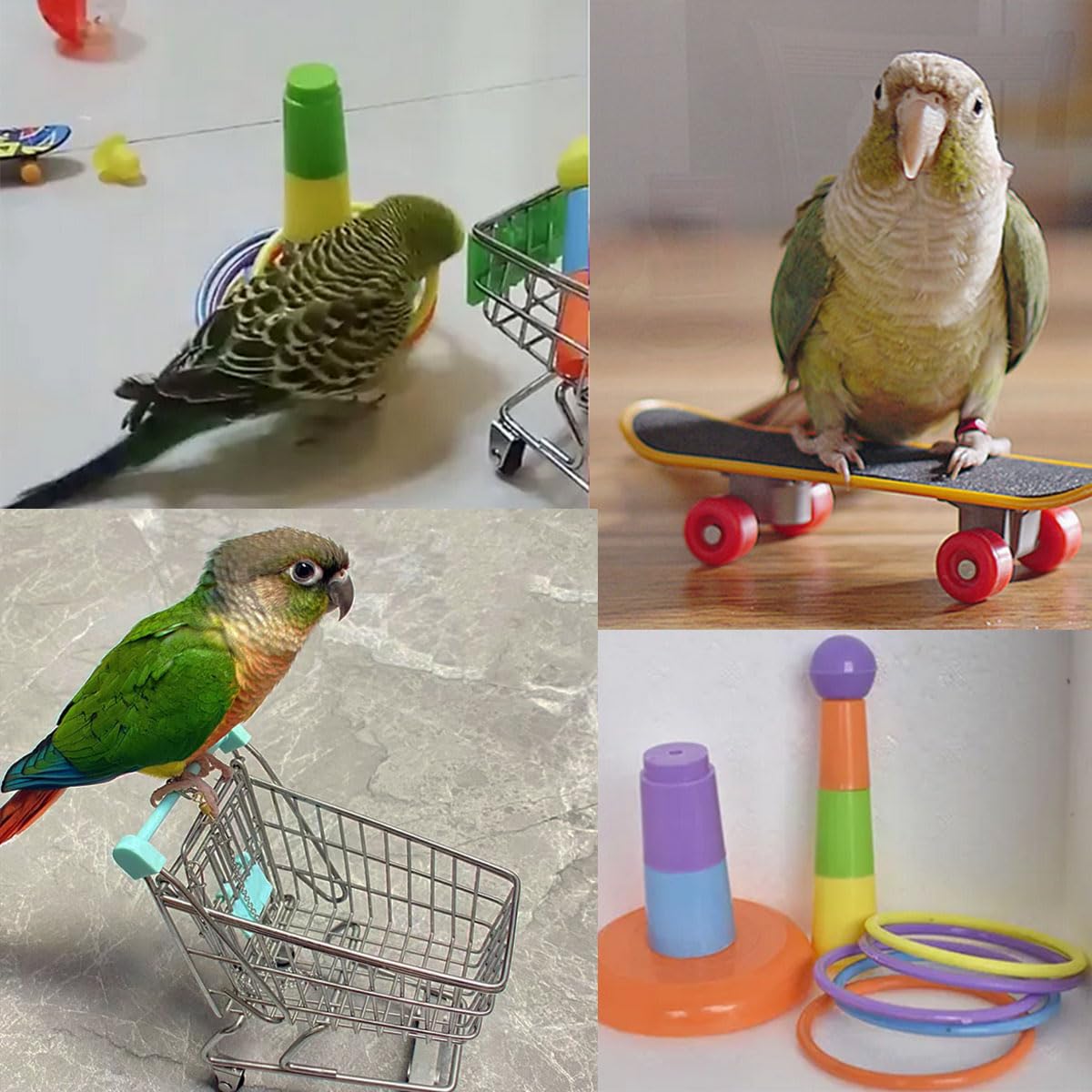 6Pcs Interactive Puzzle Toy Set For Small Parrots - Training, Stress Relief, Include Coin Box, Bell Ball, Skateboard & Ferrule T