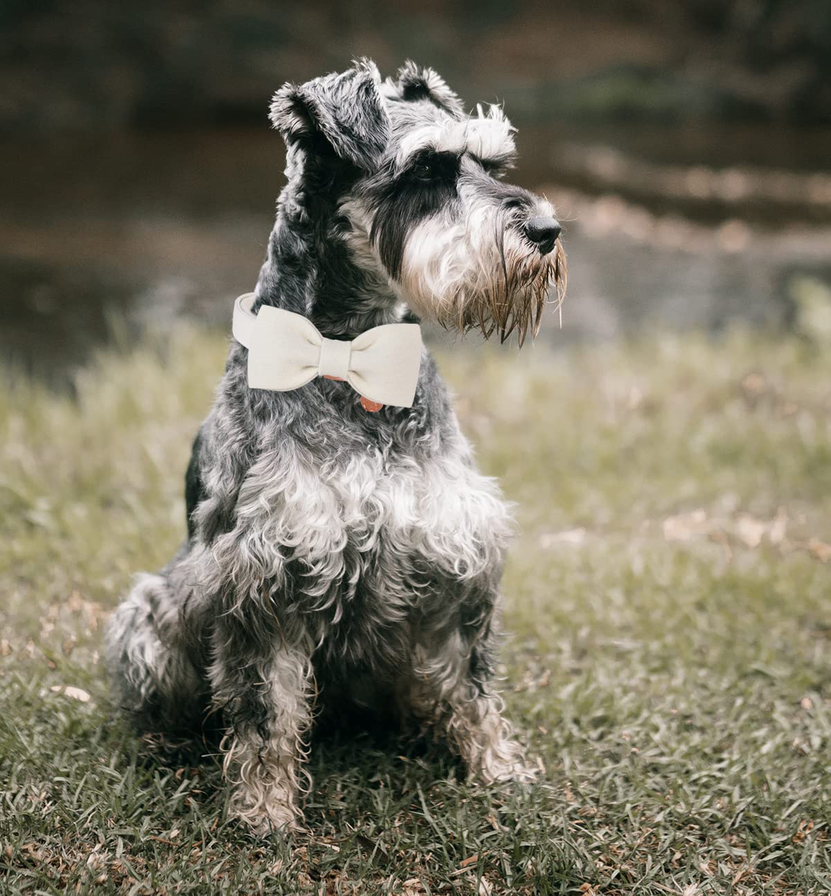 Dogwong Cotton Dog Collar With Bow, White Pet Collar Wedding Dog Collar Durable Adjustable Dog Collar For Small Medium Large Dog