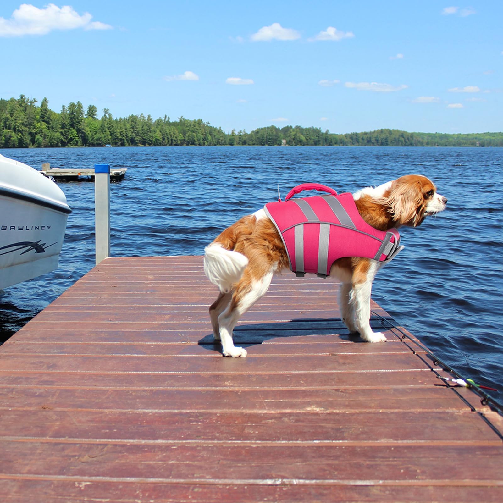 Kuoser Dog Life Jacket Large Breed, XXL Dog Life Vests for Swimming Boating, Reflective Dog Water Vest with High Flotation, Dog
