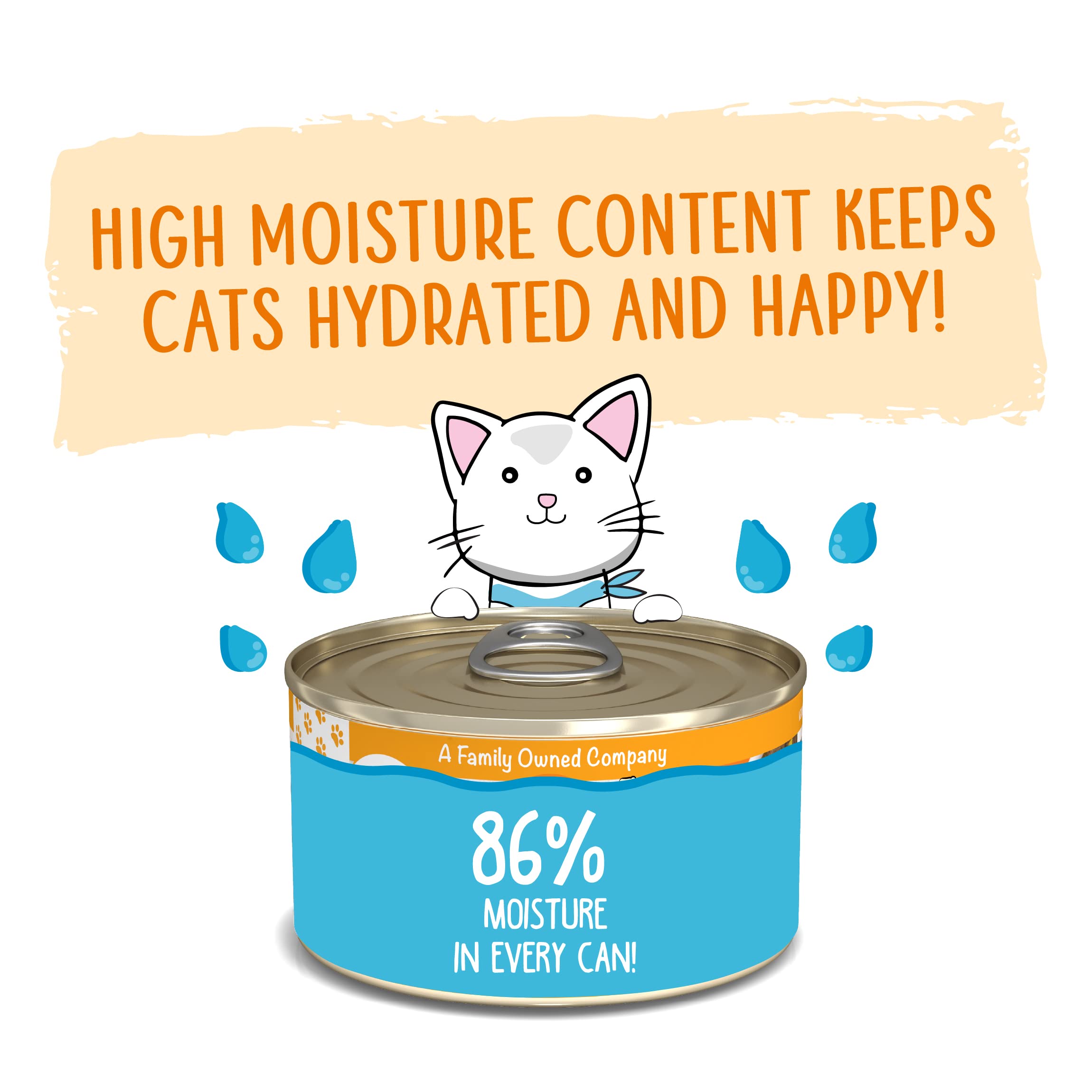 Weruva Wet Cat Food, Who Wants to be a Meowionaire with Chicken and Pumpkin Pate, 3oz Can, Pack of 12