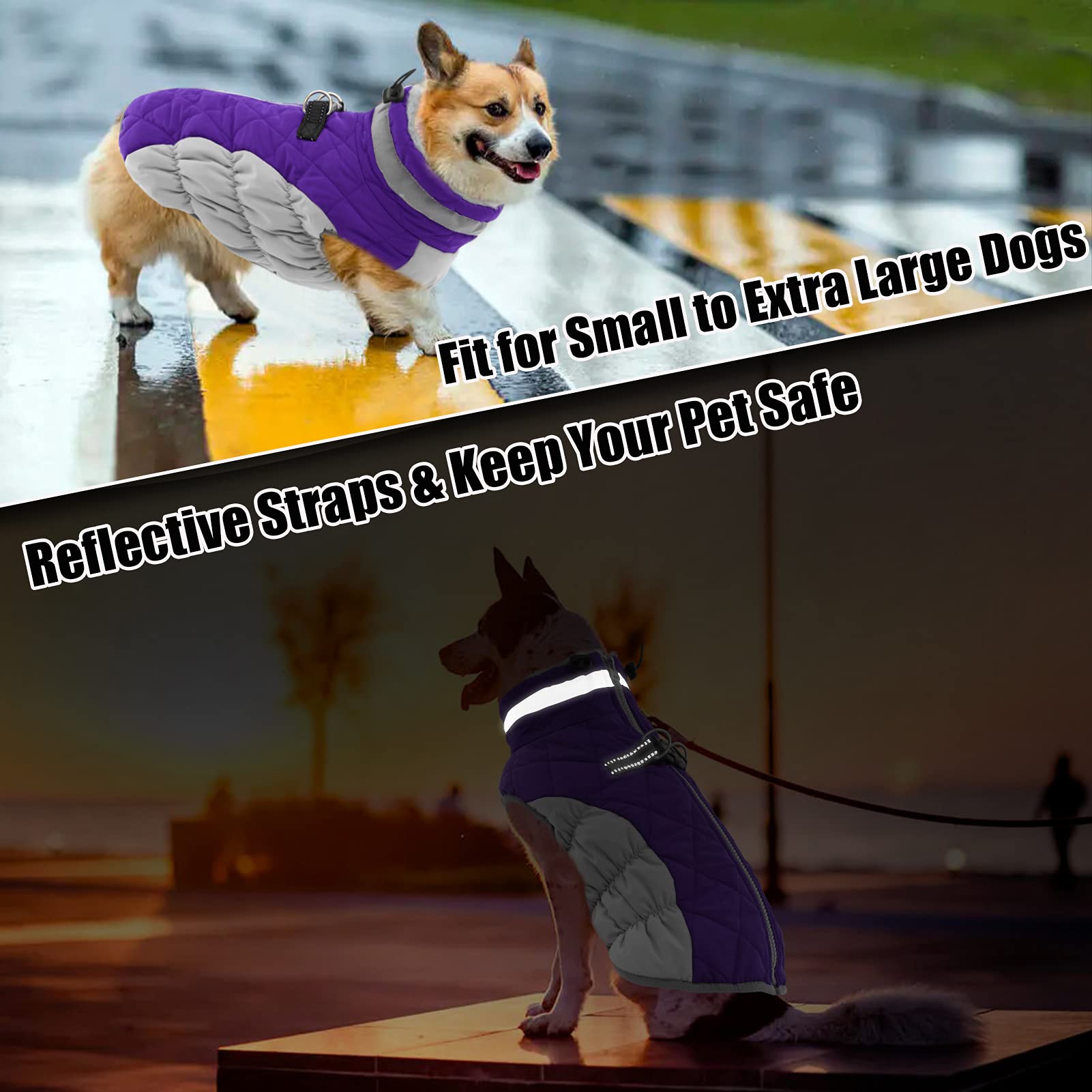 Aofitee Winter Dog Coat Warm Fleece Dog Jacket For Cold Weather, Reflective Zip Up Puppy Dog Sport Vest With Leash Rings, Outdoor Pet Sweater Apparel Clothes For Small Medium Large Dogs, Purple Xs