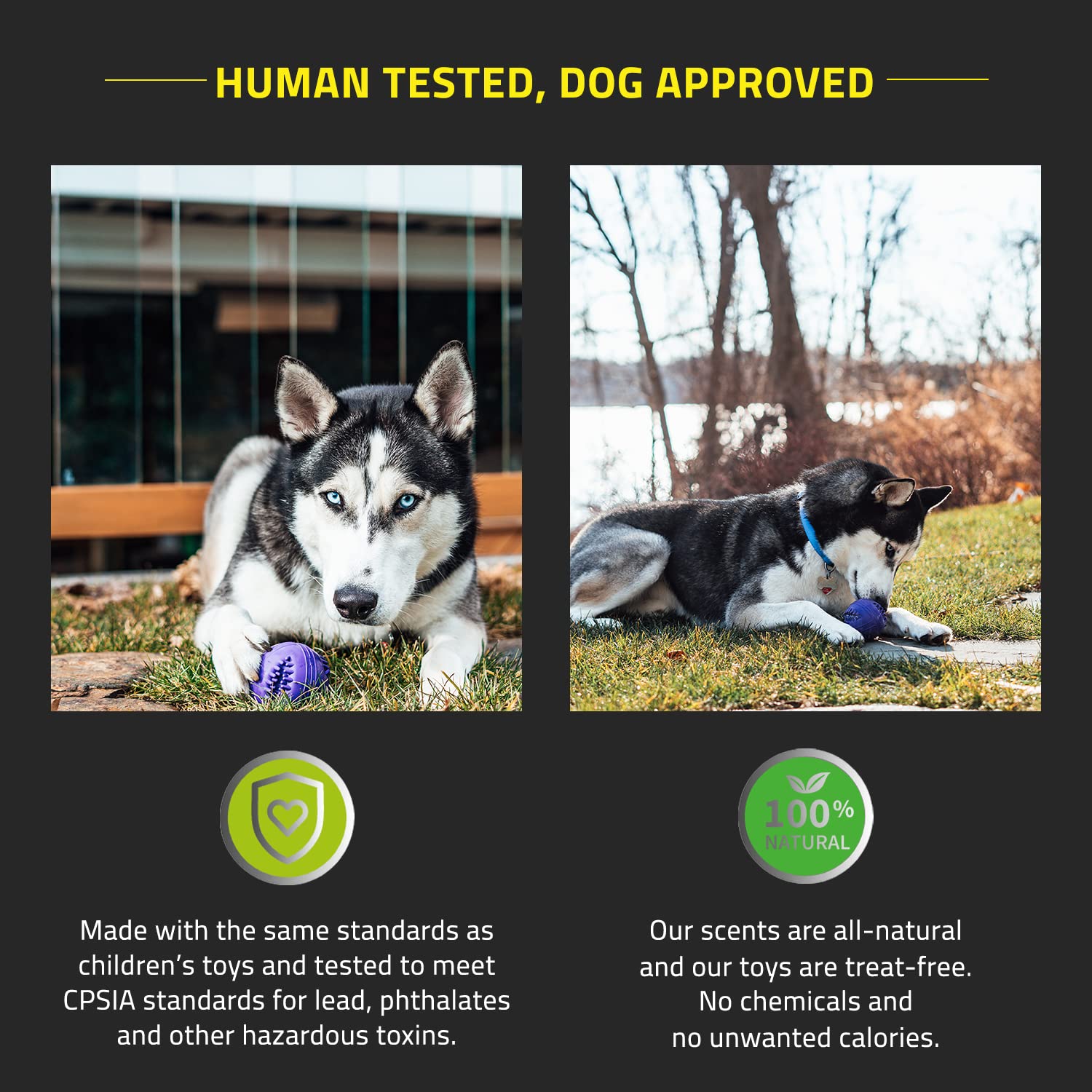 Playology Silver - Dental Chew Ball Dog Toy, Design For Medium Breed Senior Dogs (15-35Lbs) - Engaging All-Natural Pork Sausage Scent - Non-Toxic Materials And Moderate Chewing For Older Teeth