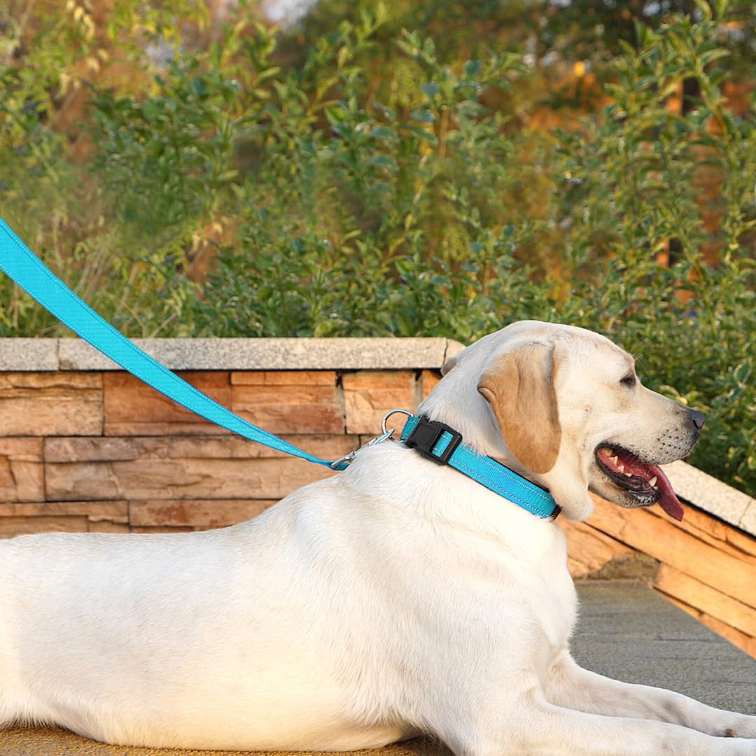 Penseepet Dog Leash 6 Ft Padded Handle Nylon Reflective Dogs Leashes For Large Dogs Sky Blue