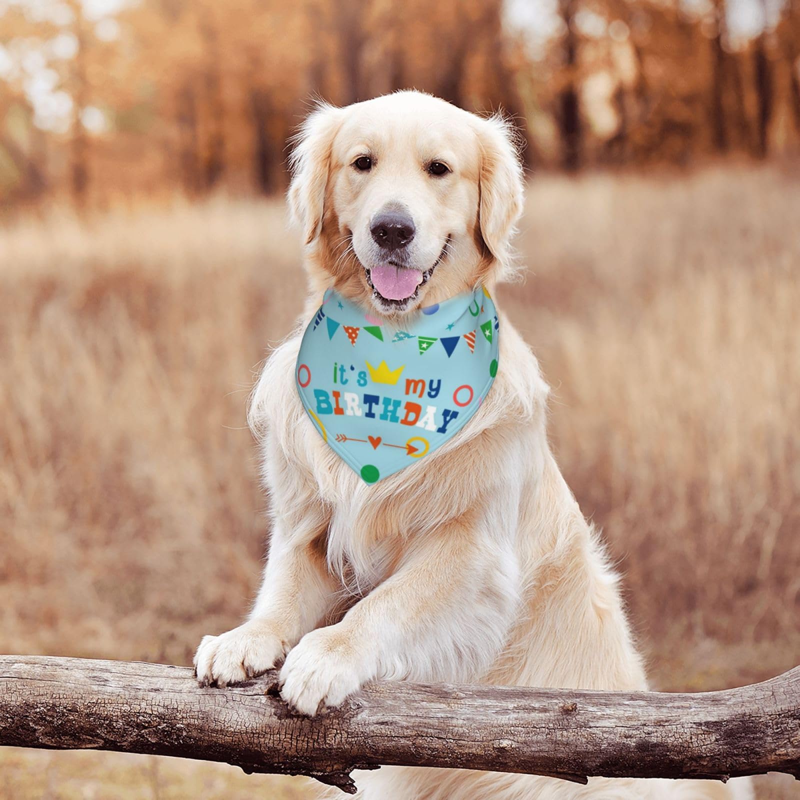 It'S My Birthday Blue Dog Bandana Scarf Triangle Bibs Pet Accessories Cat Kerchief
