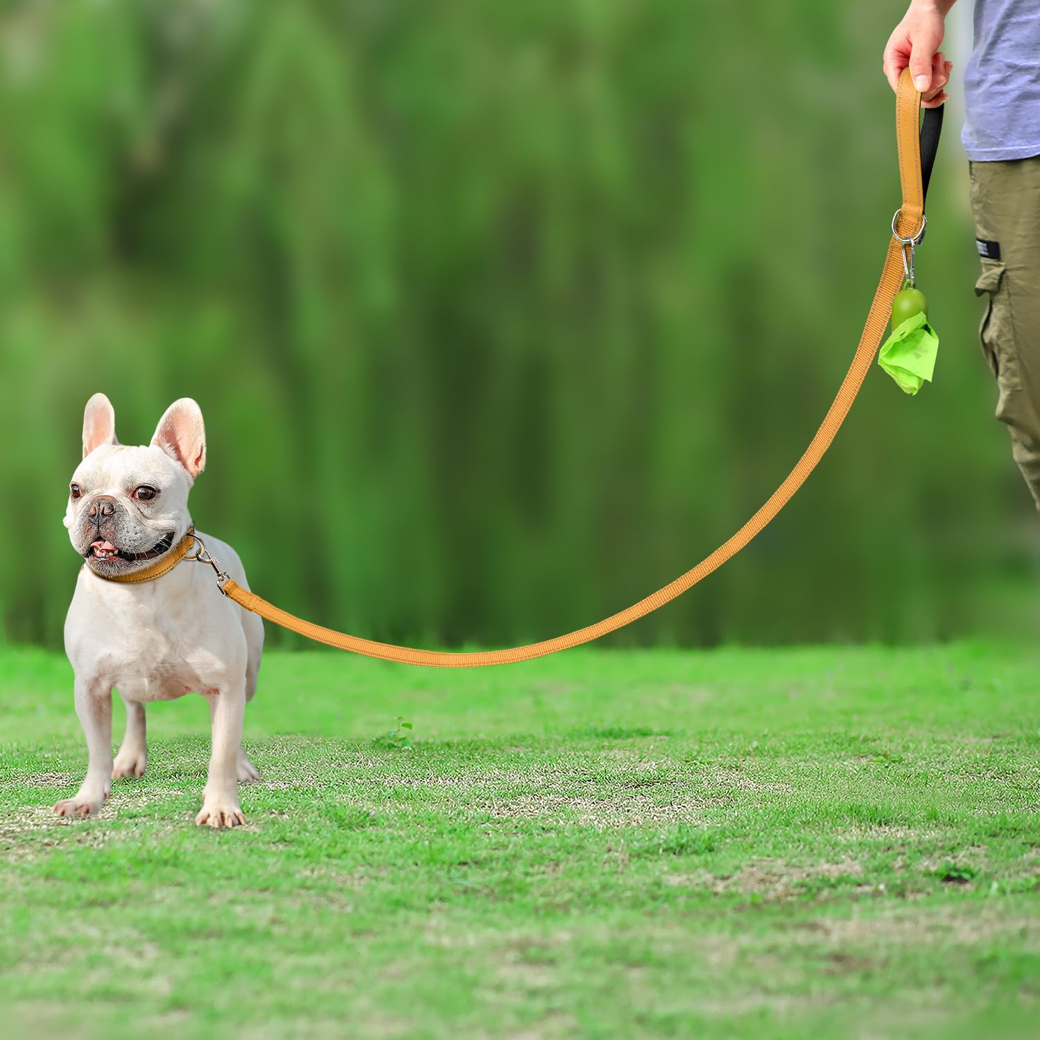 Joytale Double-Sided Reflective Dog Leash, 6 Ft/5 Ft/4 Ft, Padded Handle Nylon Dogs Leashes For Small & Medium Dogs Walking, Brown, 5Ft