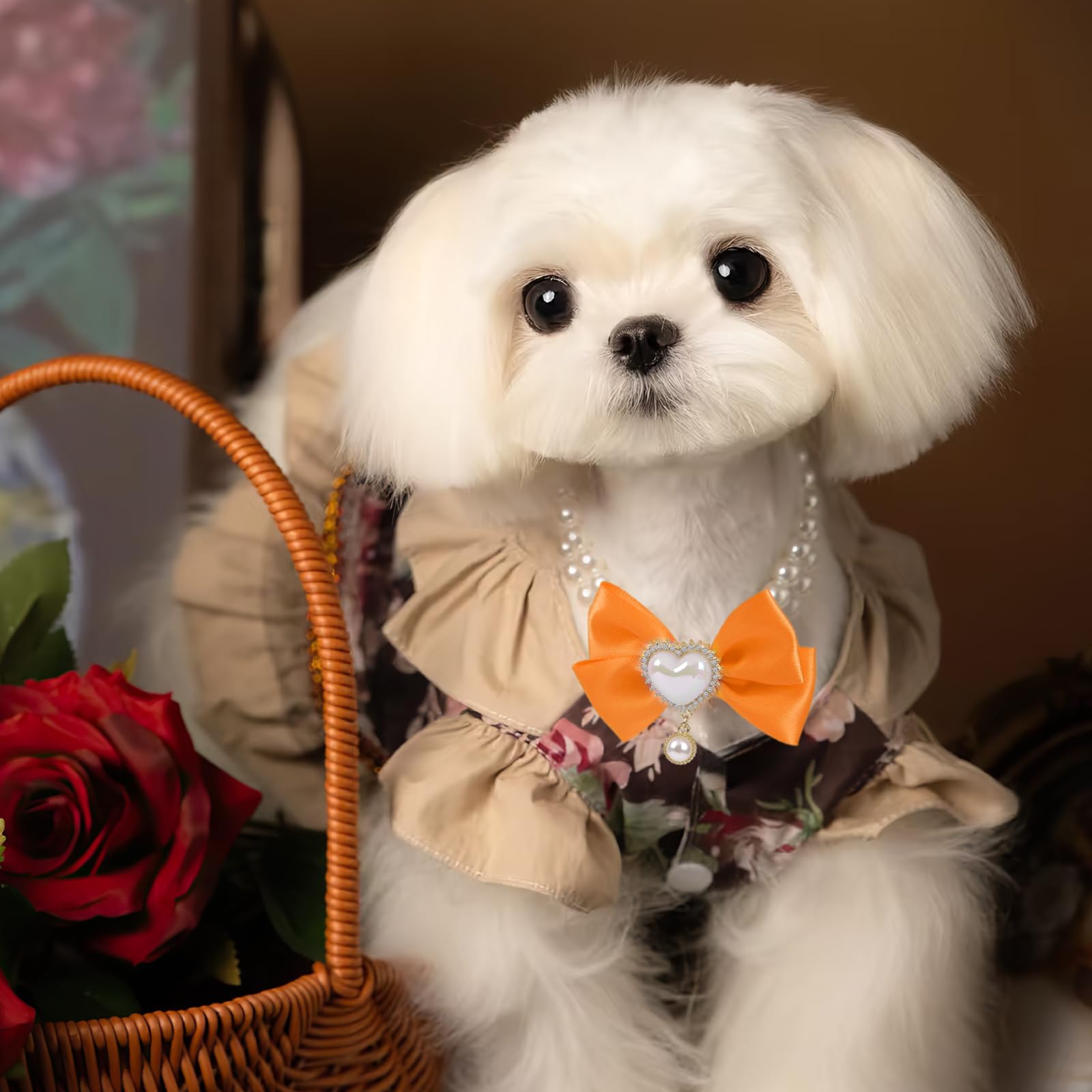 Howwfaly Dog Pearl Collar And Cat Princess Bow Collars Gold Chain Necklace Stainless Steel Adjustable Cute Pet Heart Shape Penda