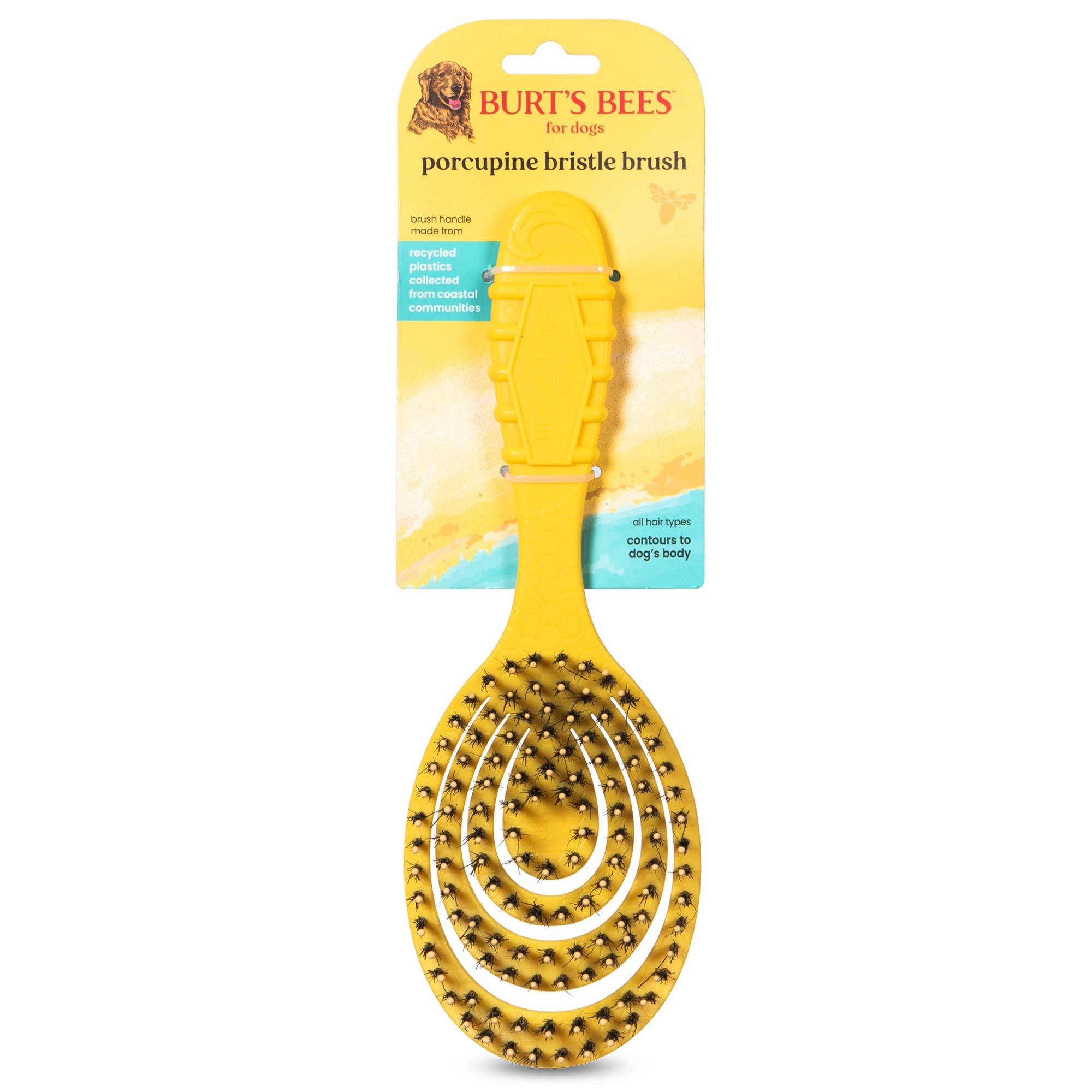 Burt's Bees for Pets Porcupine Bristle Brush, Large Dogs Hair Grooming Tool, Flex Technology, Recycled Plastics Handle, 9 Inches