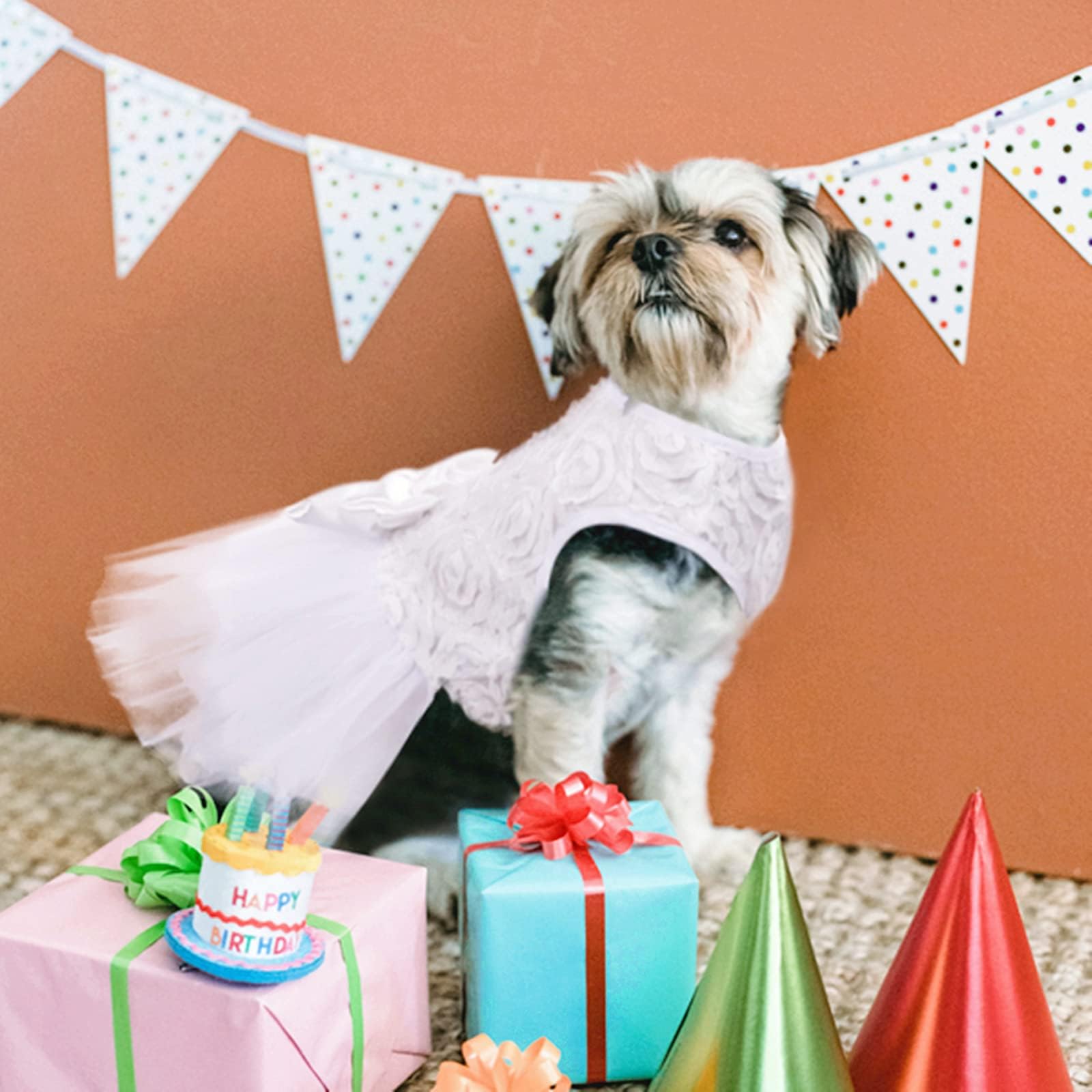 Asenku Dog Dress Pet Wedding Dress Princess Lace Puppy Birthday Party Outfit Formal Apparel Girl For Small Medium Dogs Cats (Med