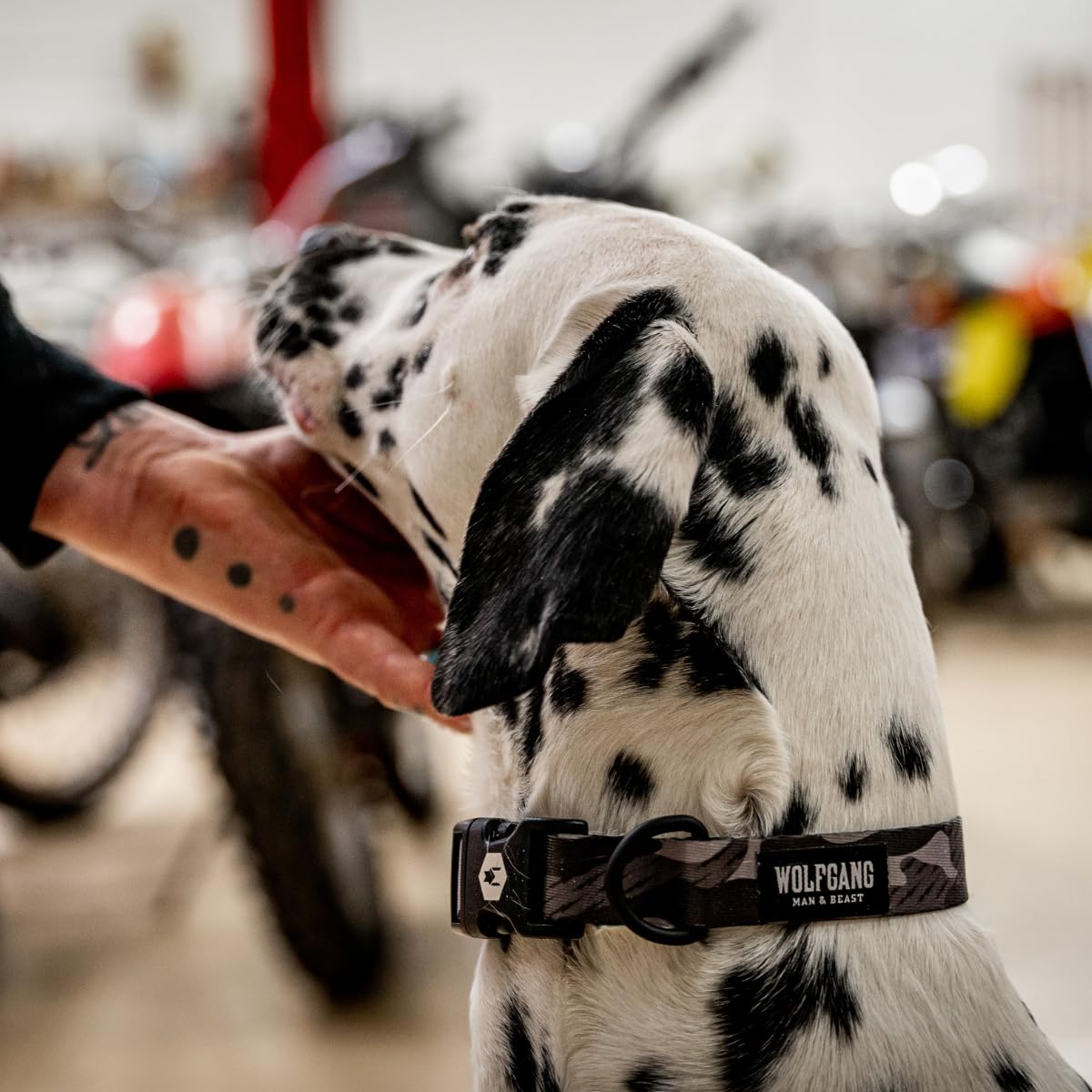 Wolfgang Heavy Duty, Adjustable Dog Collar With Quick Release Nylon Buckle For Walking & Training, Darkskies Print, Small