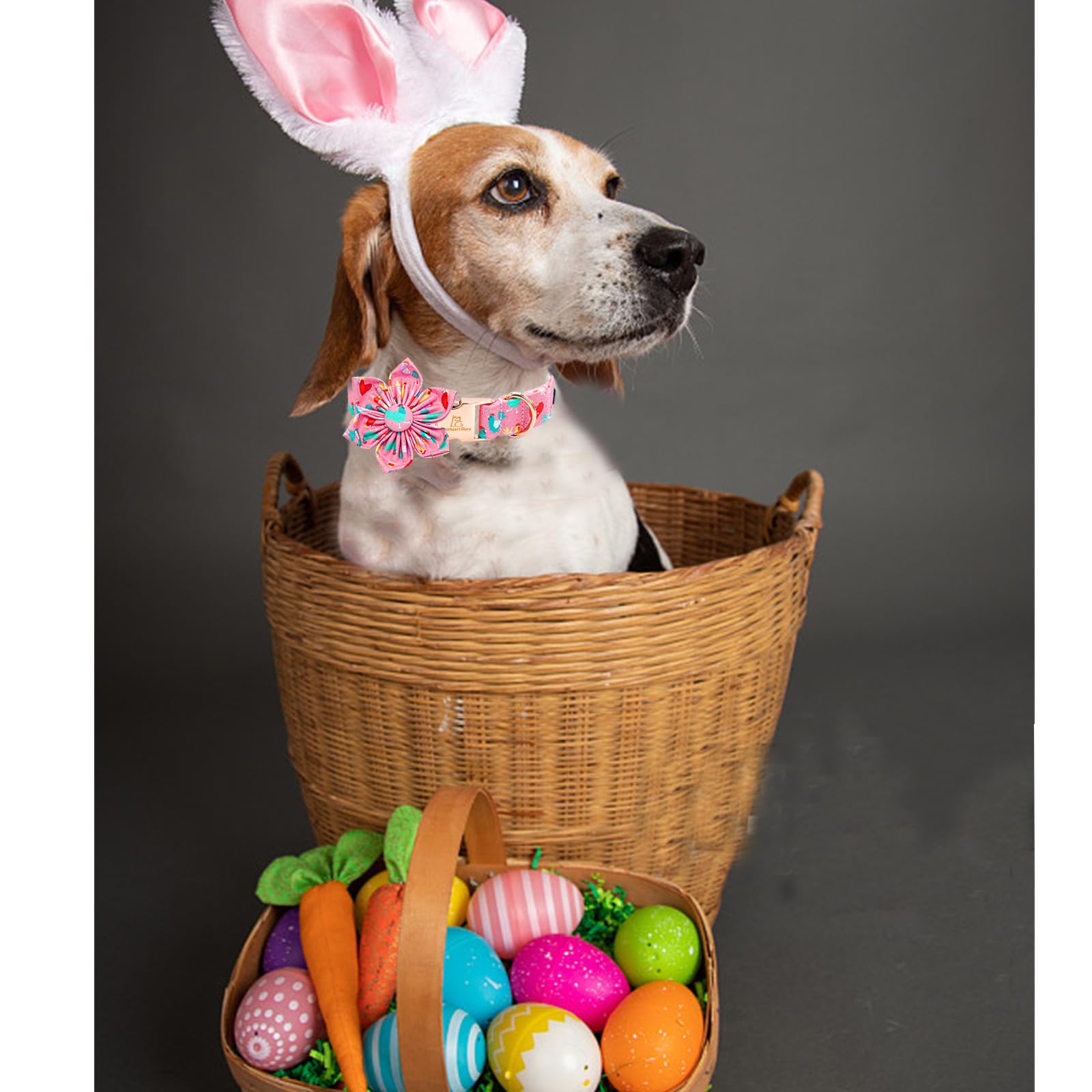 Lionheart Glory Easter Day Dog Collar With Flower Dog Collar For X-Small Dogs, Easter Chickens Colorful Dog Flower Collars Sprin
