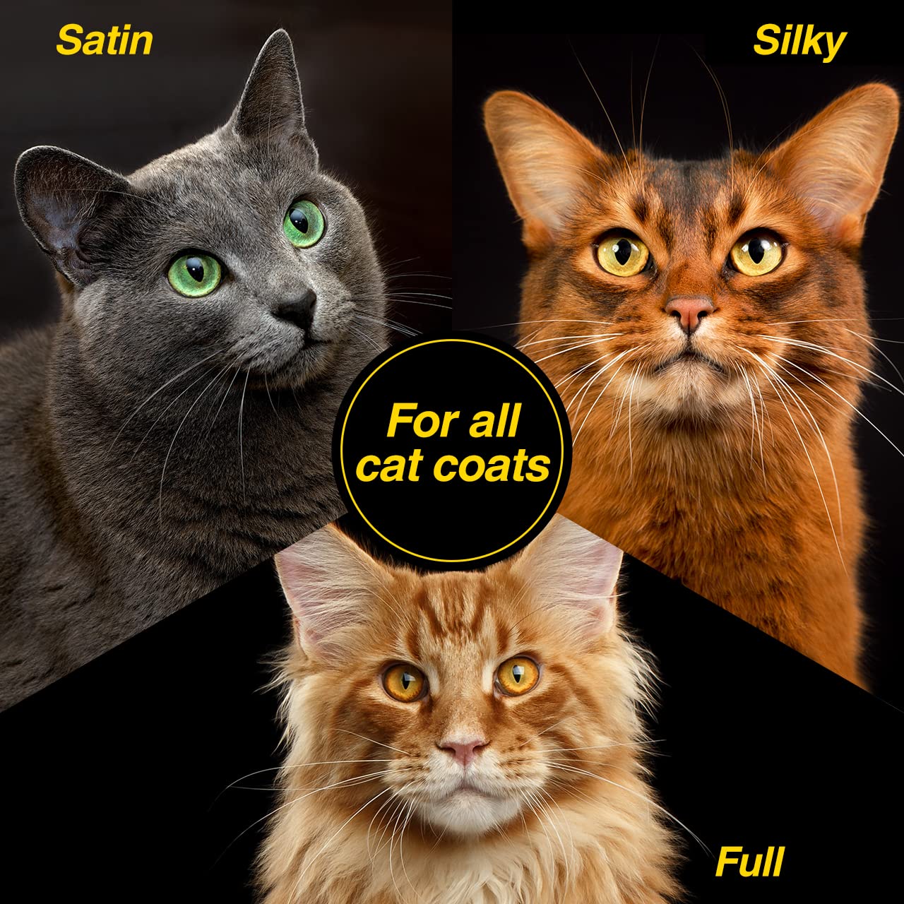 Chris Christensen Top Cat Brilliant Black Shampoo for Cats, Groom Like a Professional, Removes Red, Restores Black Tones, Made i