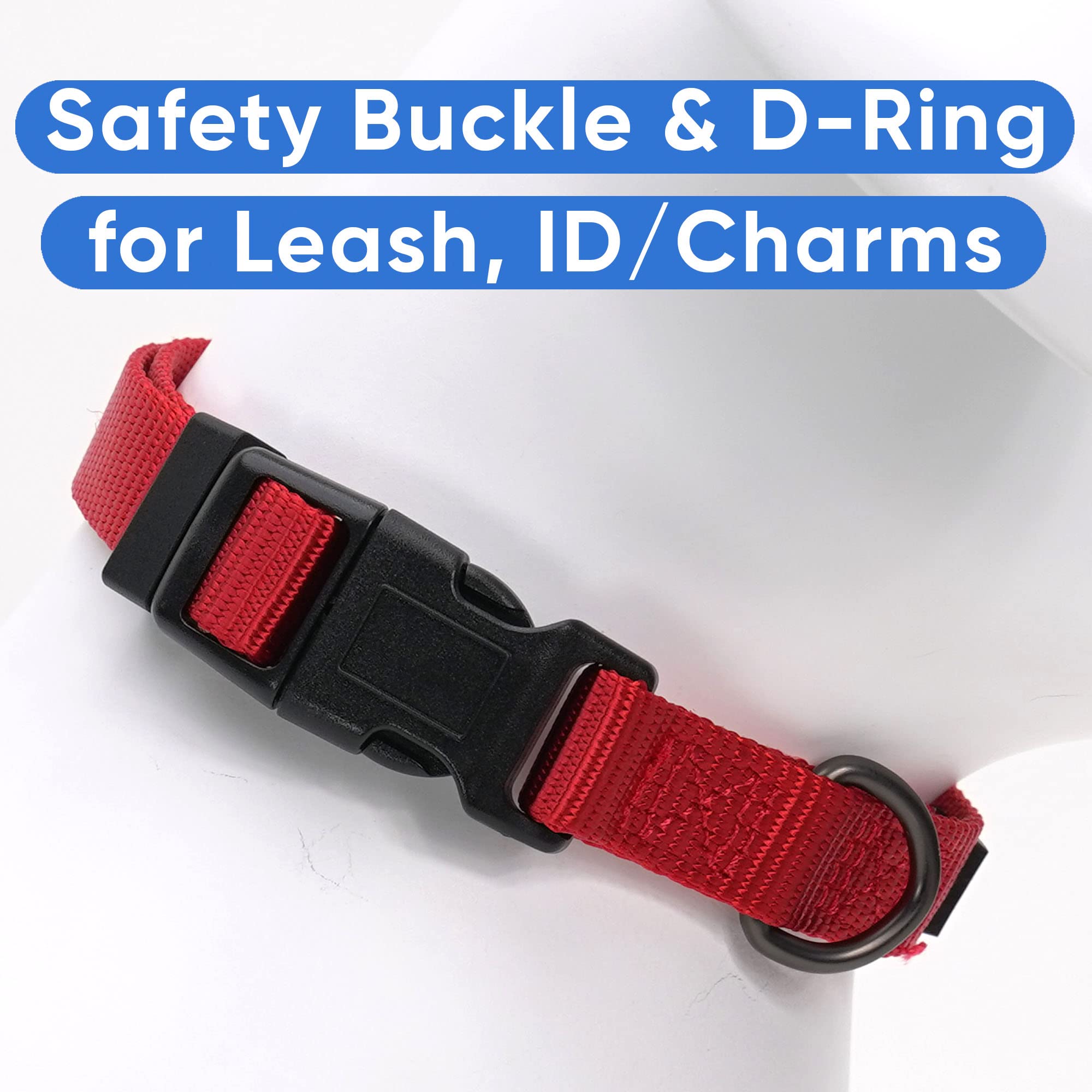 Pawtitas Dog Collar For Small Dogs Training Puppy Collar With Solid - S - Red