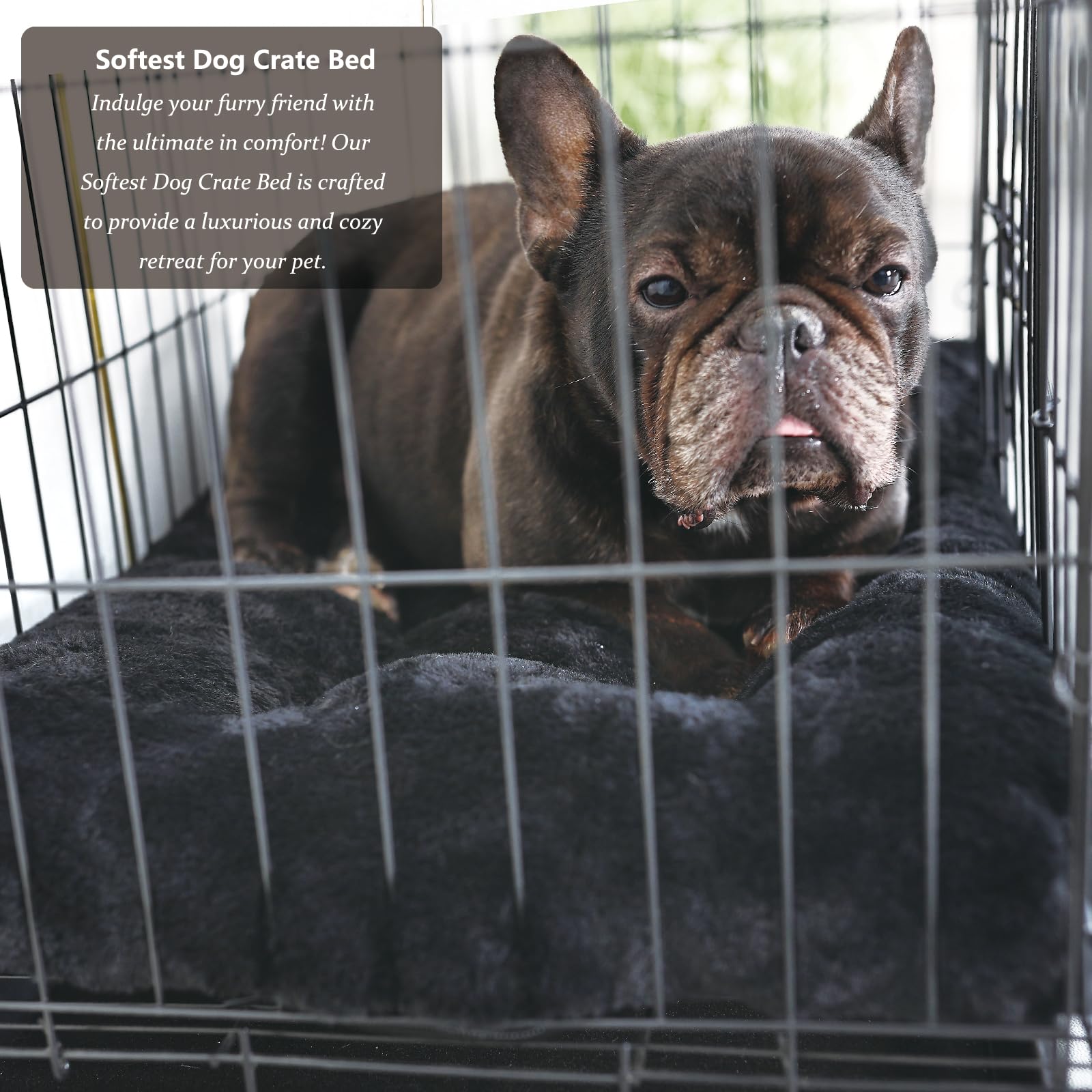 Nononfish Crate Beds For Small Dogs Washable Fit Crates Or Cage With Zipper,Extra Soft Black Pet Mat 24 Inch With Anti-Slip Bott