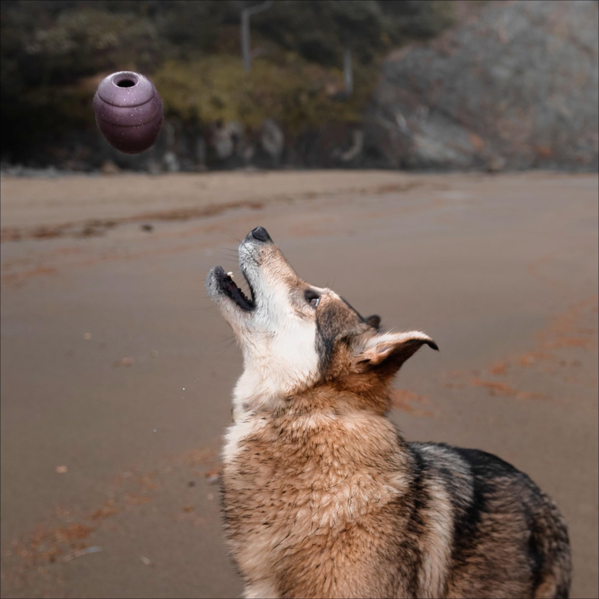 Barkbox Pine Cone Dog Toy - Durable Natural Rubber, Treat Dispensing, Medium Size, Ideal for Aggressive Chewers