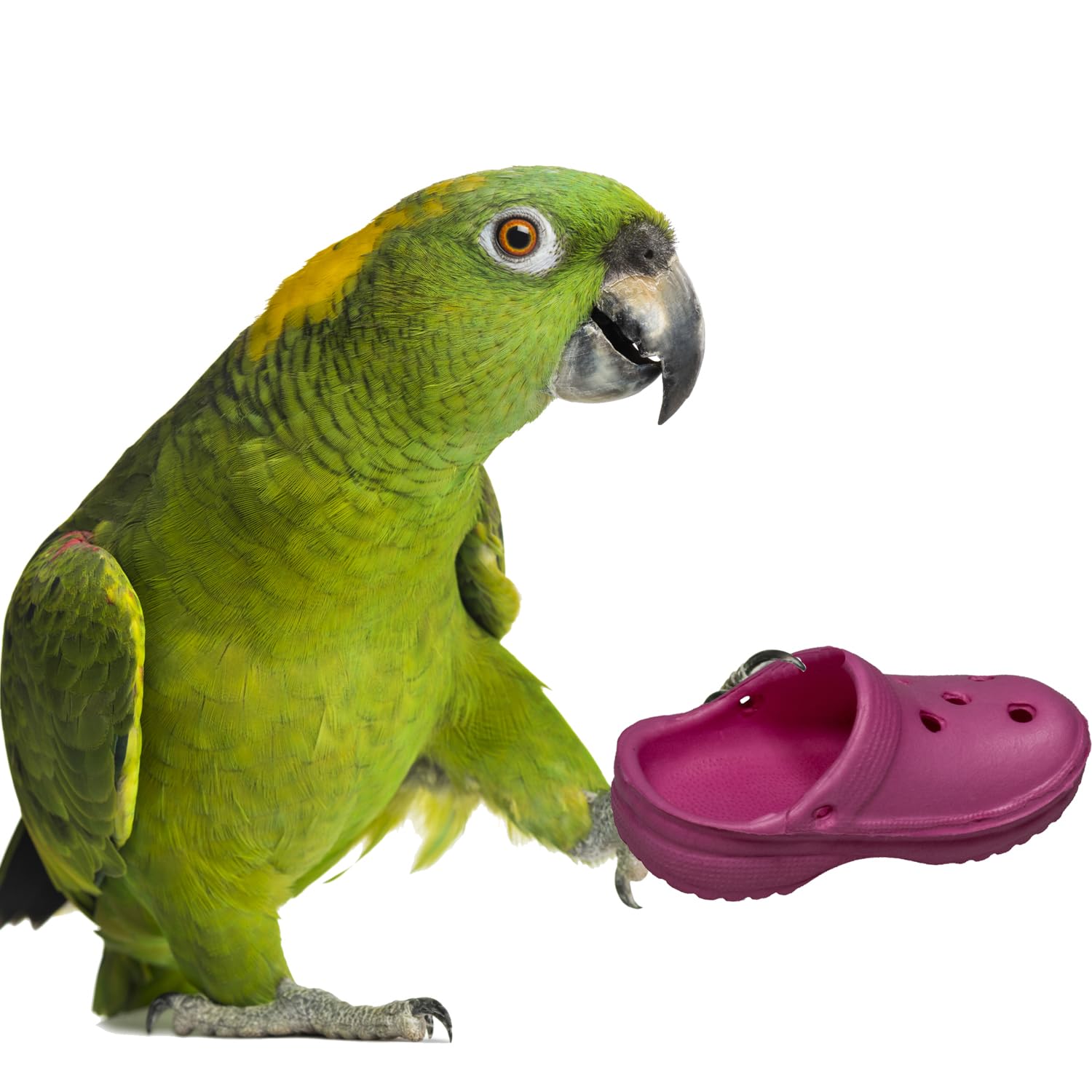 Super Bird Creations SB1192 Crocs Bird Toy - Ideal for Parrots, Ringnecks, Quakers, Small Cockatoos - Perfect for Chewing, Forag