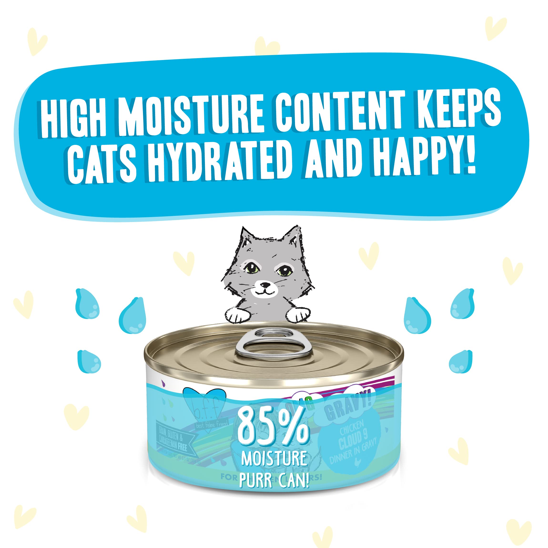 Weruva B.F.F. OMG - Best Feline Friend Oh My Gravy!, Chicken Cloud 9 with Chicken in Gravy, 5.5oz Can (Pack of 8)