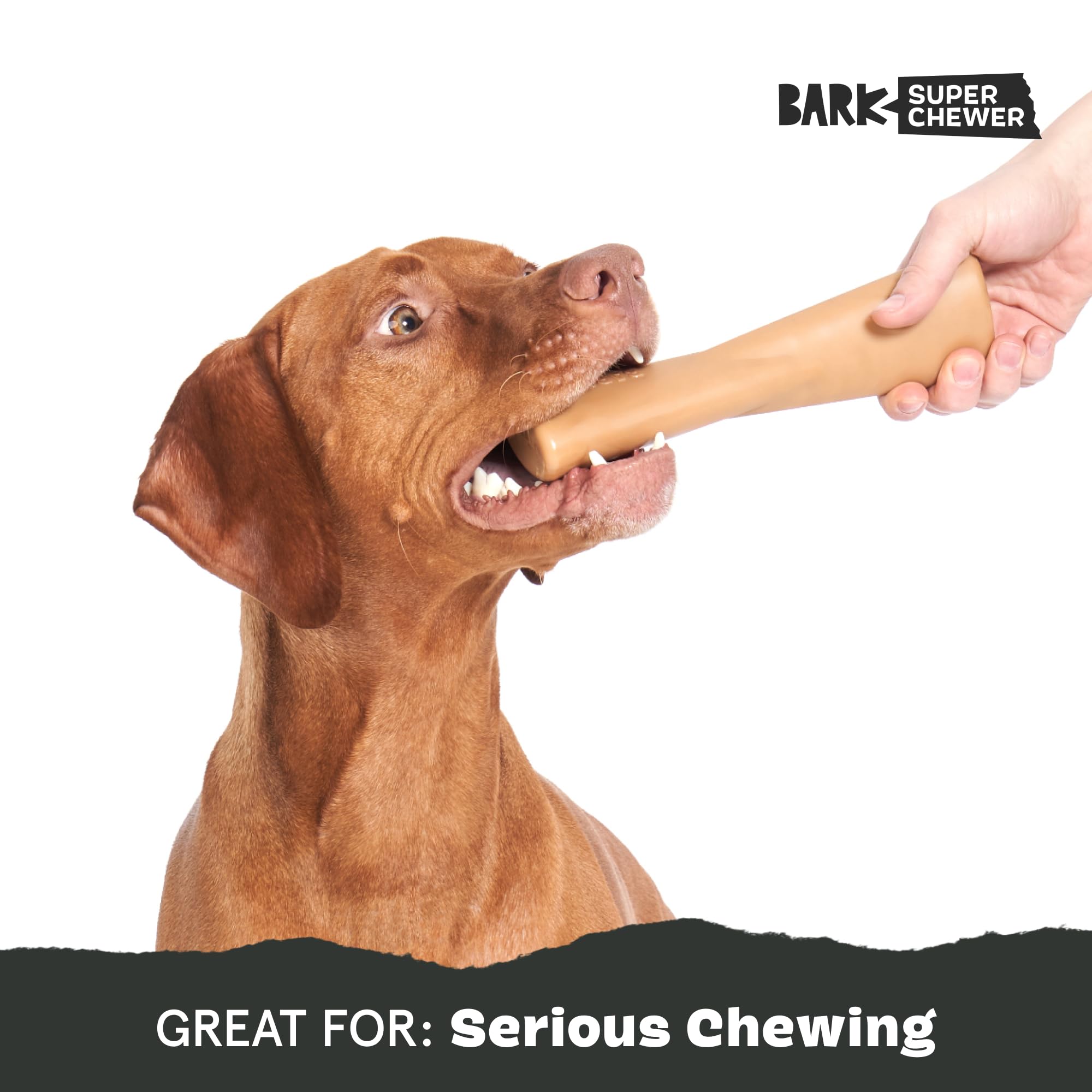 Barkbox Super Chewer Tough Dog Chew Toys For Aggressive Chewers, Dental Stimulating (Pb Bone - Large)