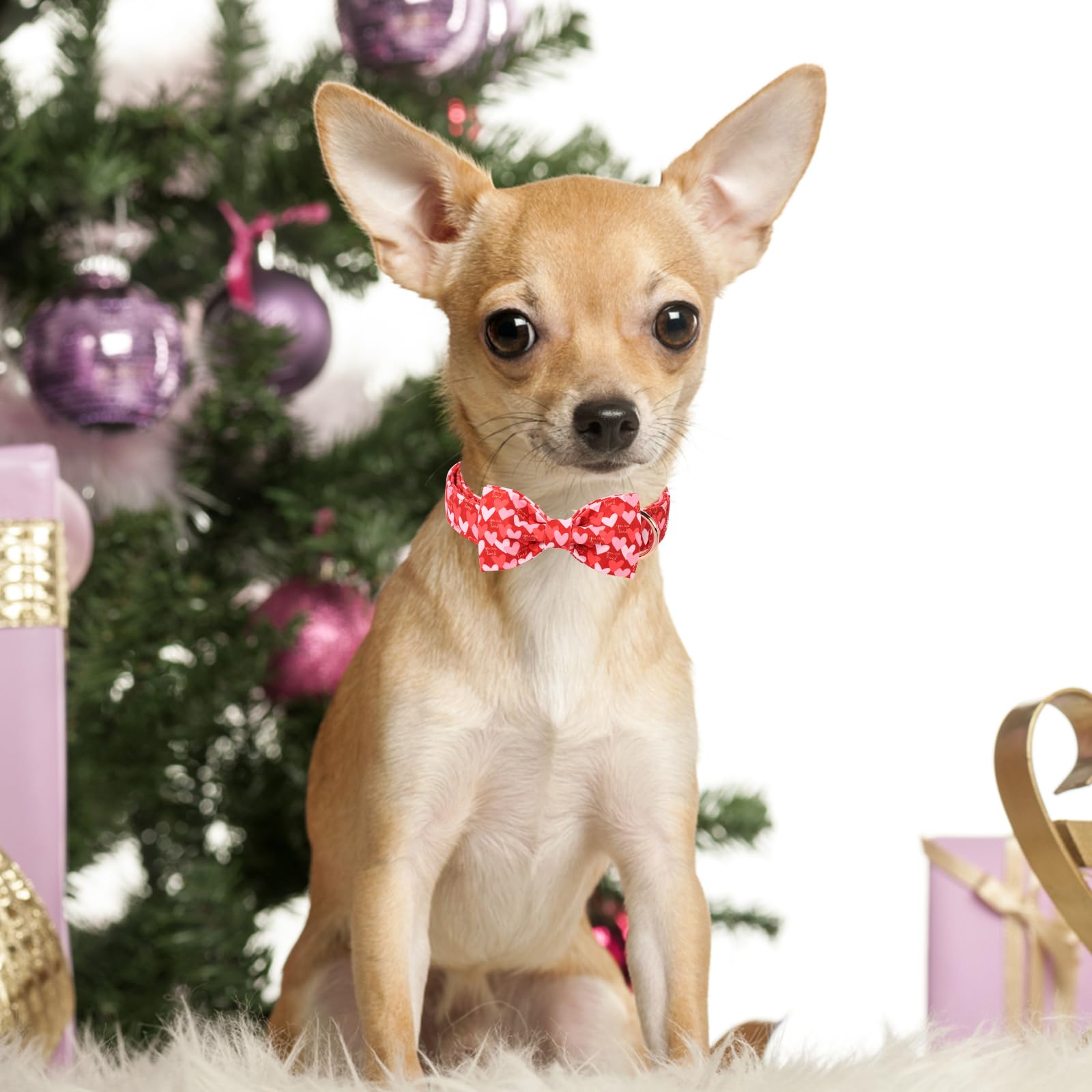 Unique Style Paws Valentine'S Dog Collar With Bow Love Heart Cotton Puppy Collars Wedding For Small Medium Large Dogs