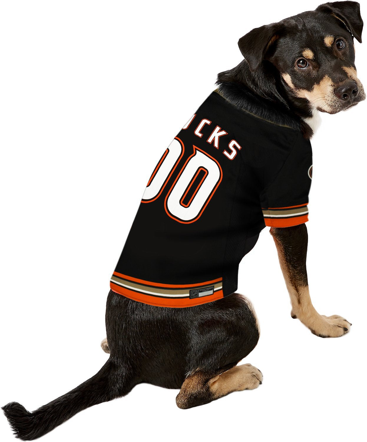 Pets First NHL New York Islanders Jersey for Dogs & Cats, Medium. - Let Your Pet Be A Real NHL Fan!
