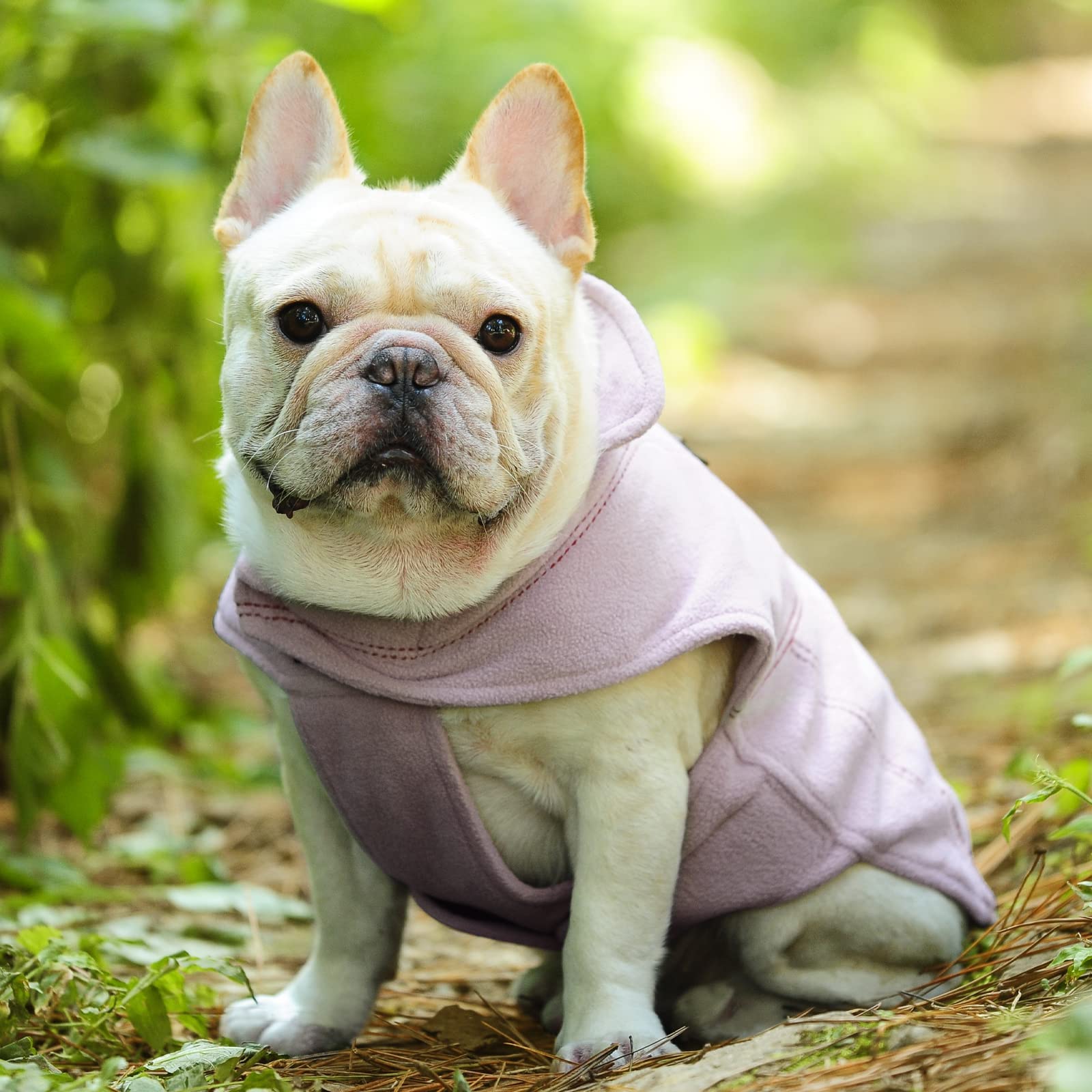 VIVAGLORY Dog Fleece Vest, Dog Cold Weather Sweater for Large Dogs, Adjustable Winter Warm Clothes with Two-Way Zipper Opening,