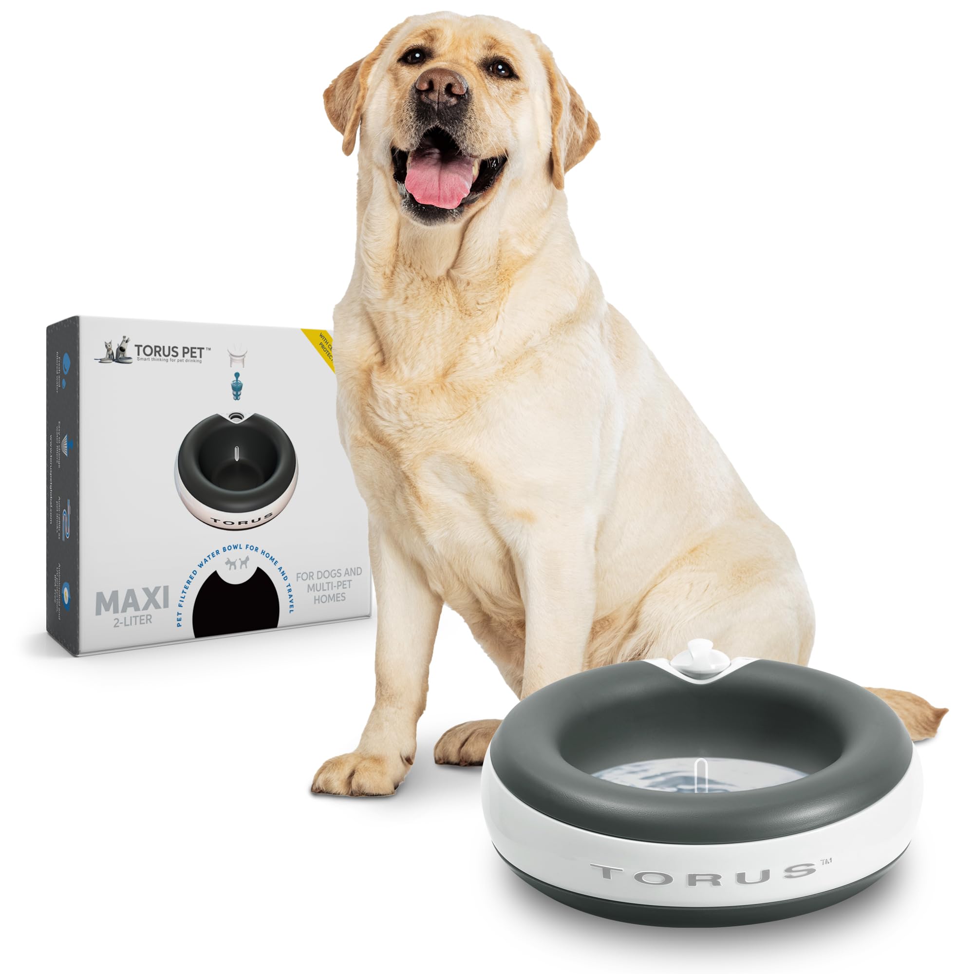 Heyrex Torus 2-Liter Pet Water Bowl, Charcoal