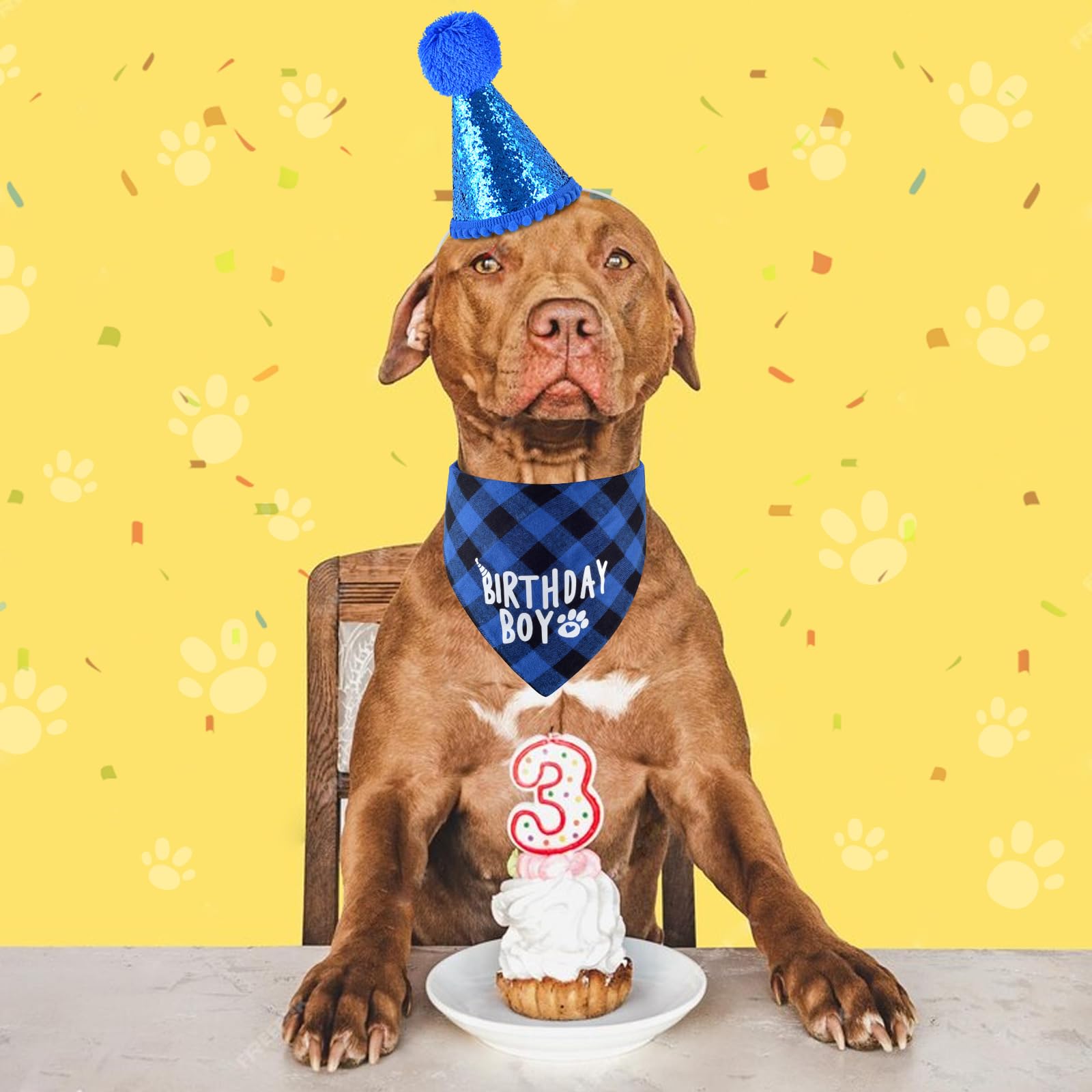 Dog Birthday Party Supplies - Bandana And Hat With Numbers For Small, Medium, Large Pets